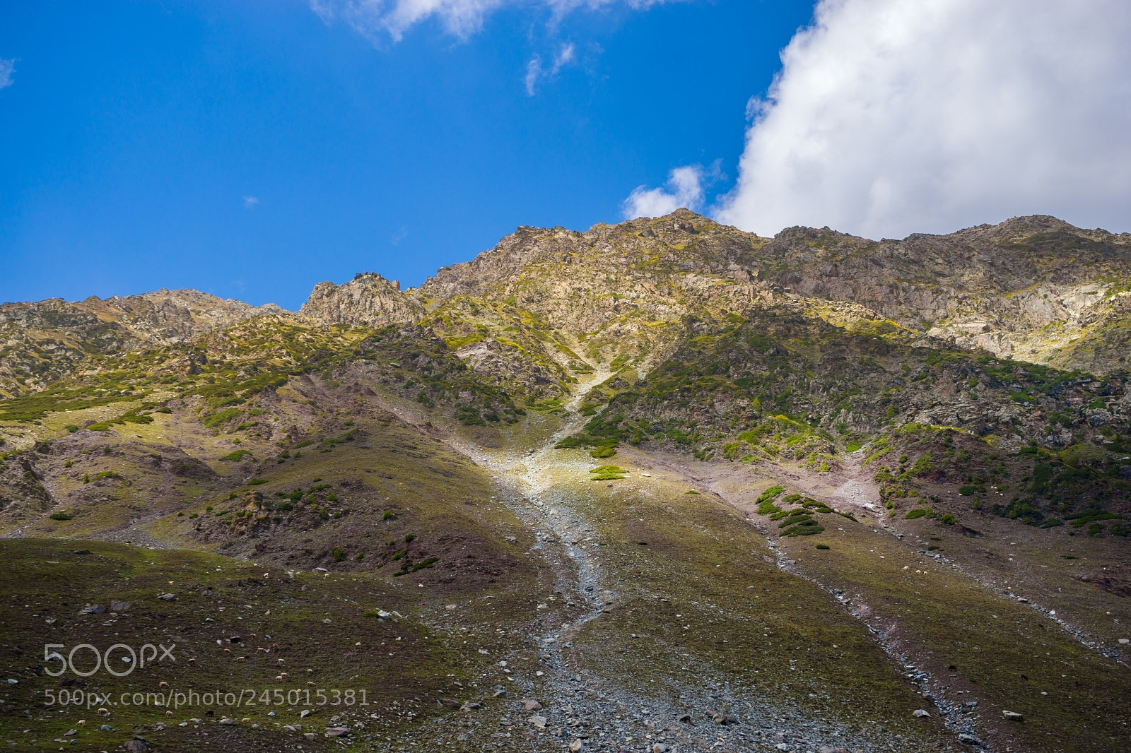 Sony a7 sample photo. Izmis lake track photography