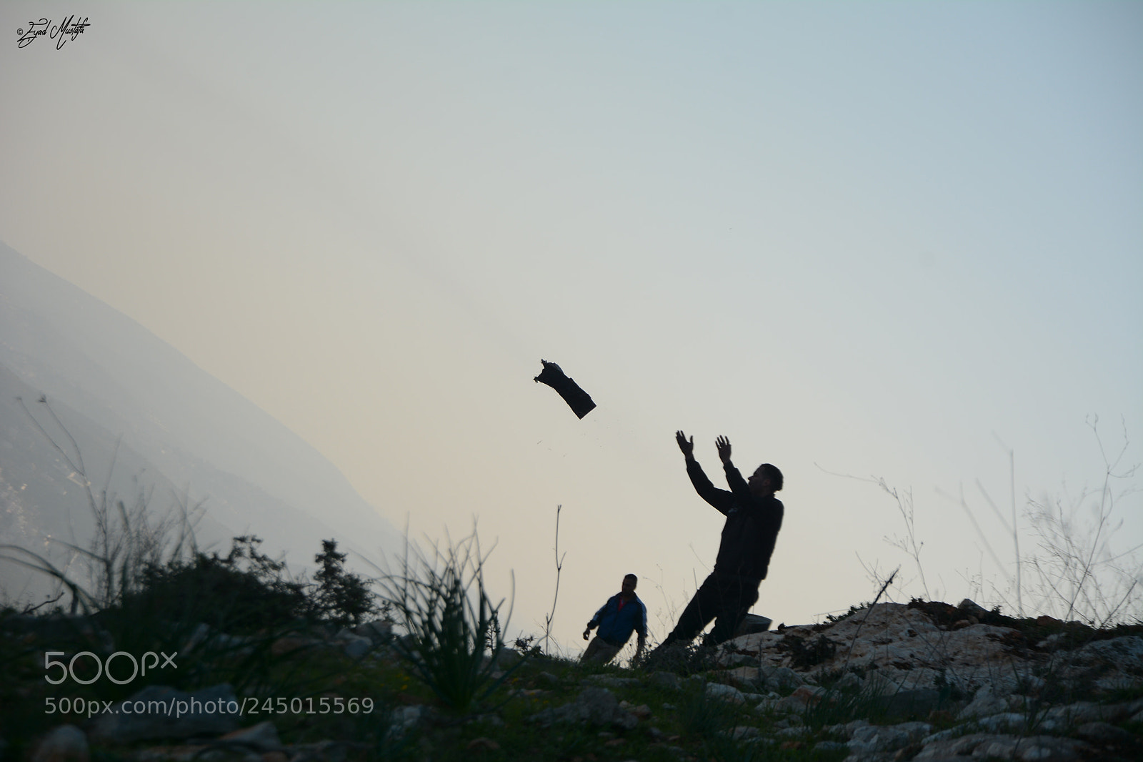 Nikon D7100 sample photo. A man cutting trees ! photography