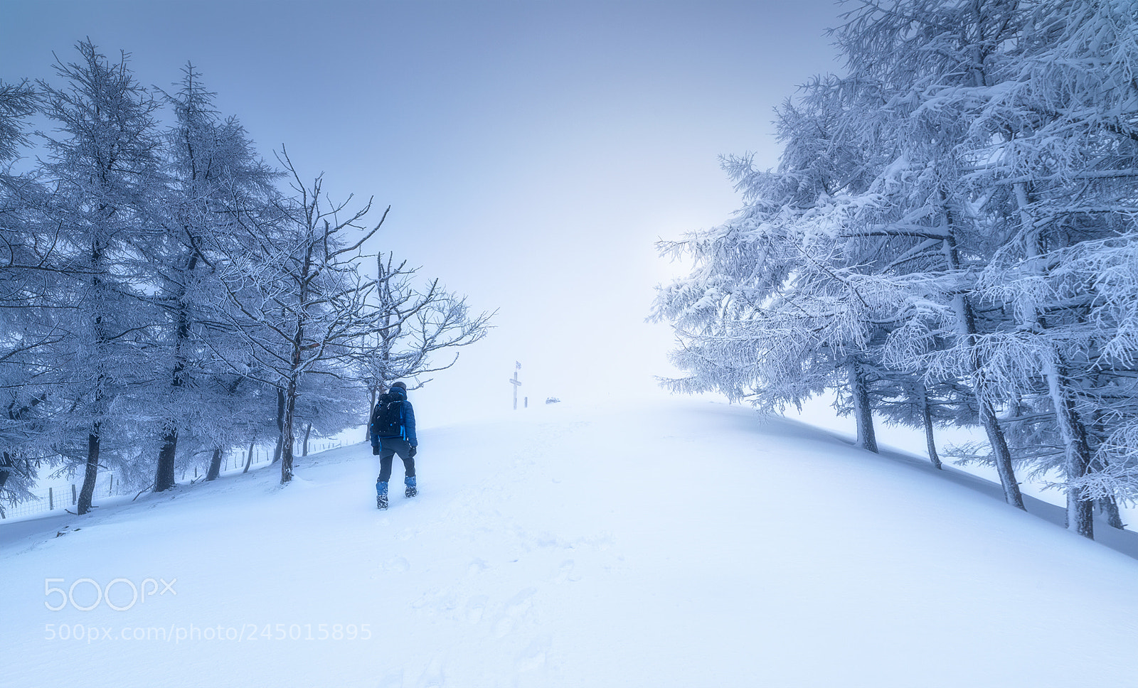 Nikon D810 sample photo. __caminante no hay camino__ photography
