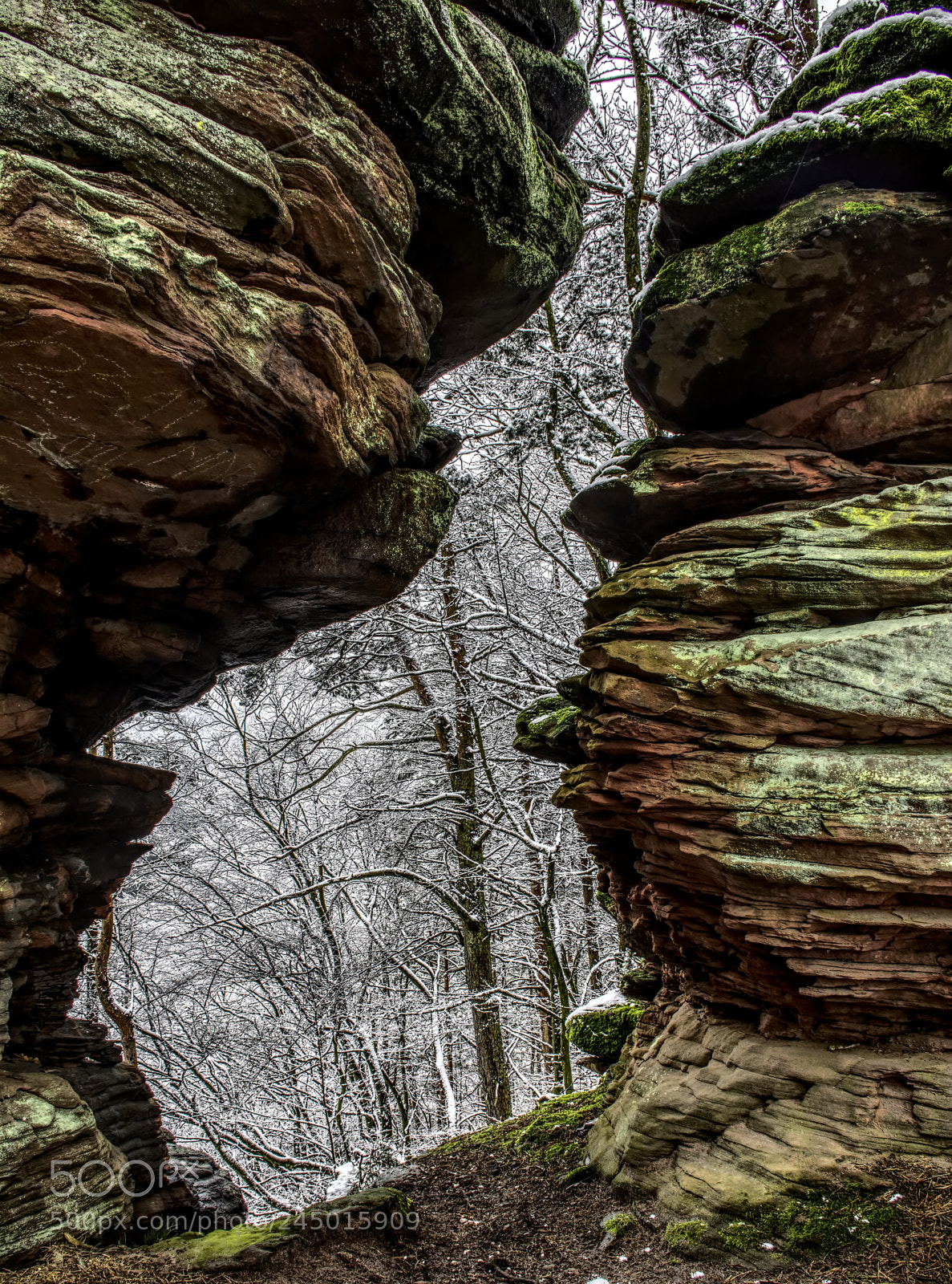 Nikon D7100 sample photo. Palatinate70 photography