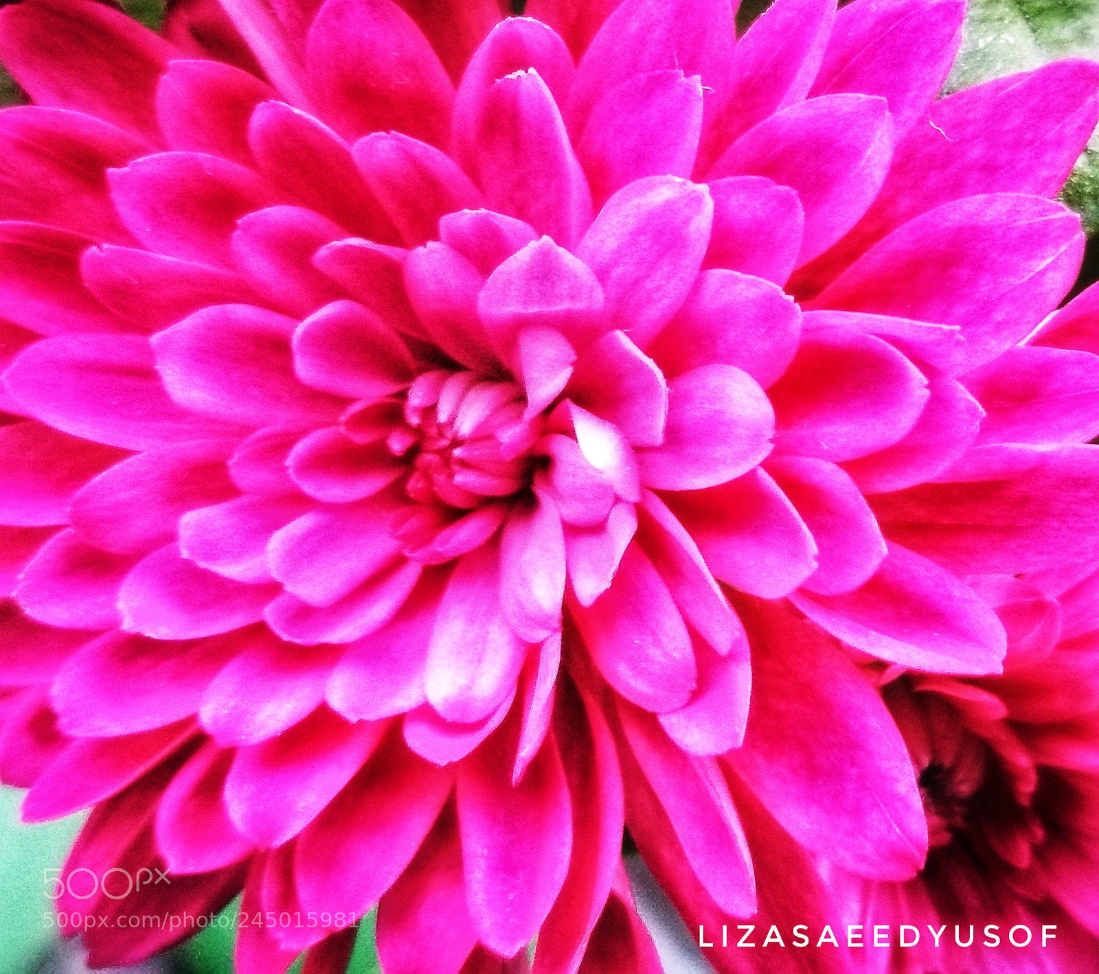 HUAWEI P9 sample photo. Untitled photography