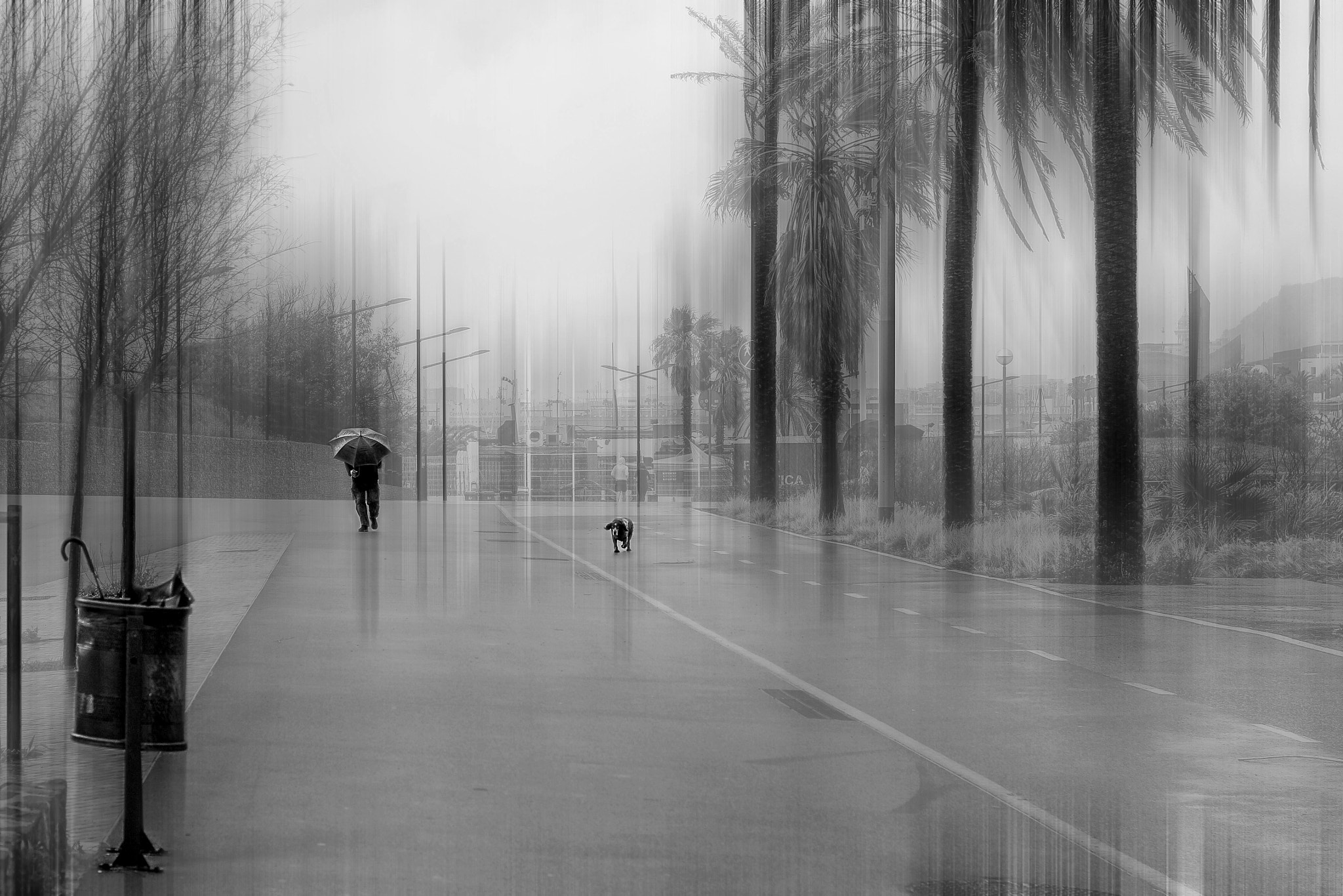 Canon EOS 650D (EOS Rebel T4i / EOS Kiss X6i) sample photo. Rainy day photography