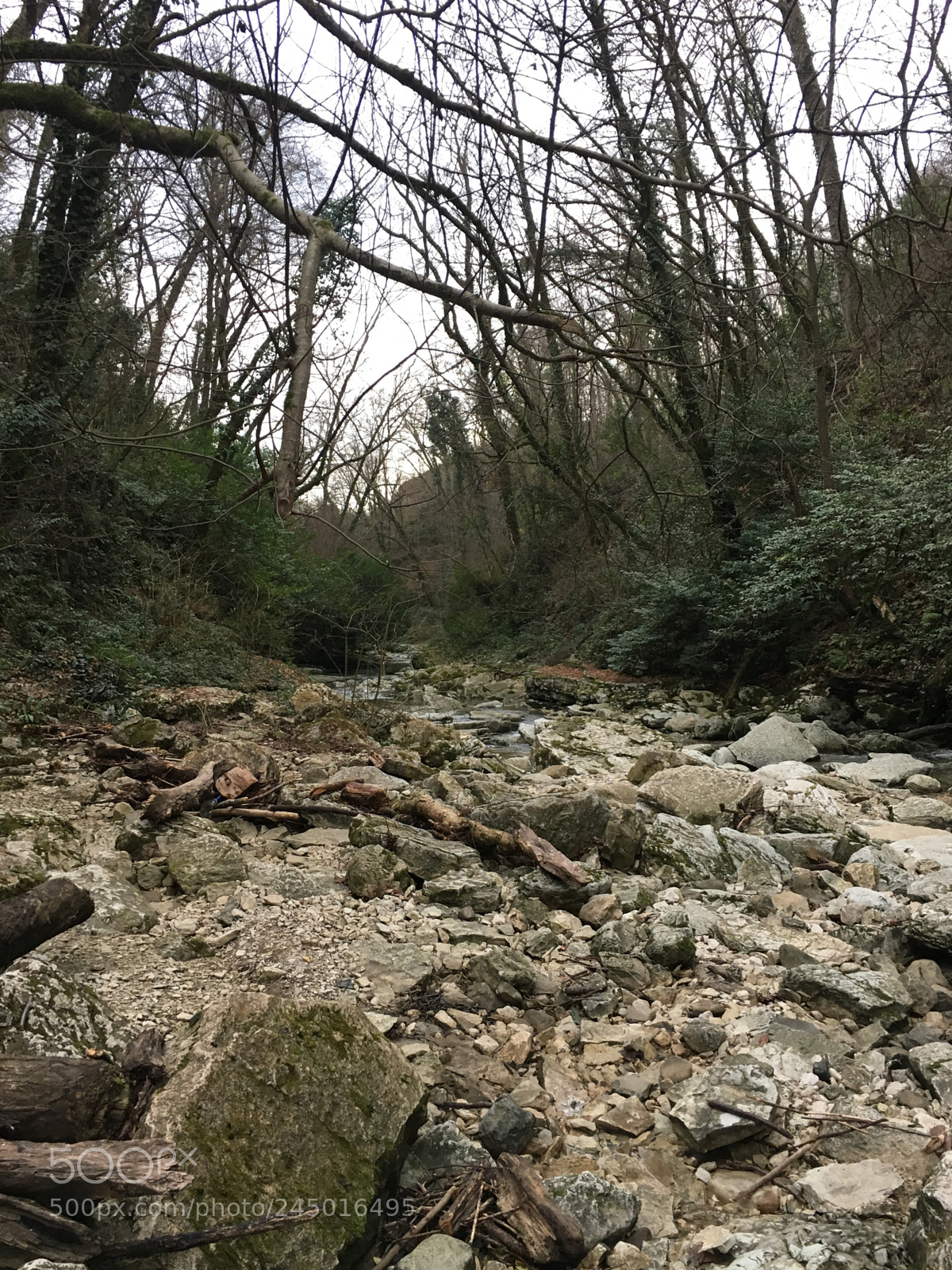 Apple iPhone 6s sample photo. Sochi, russia photography