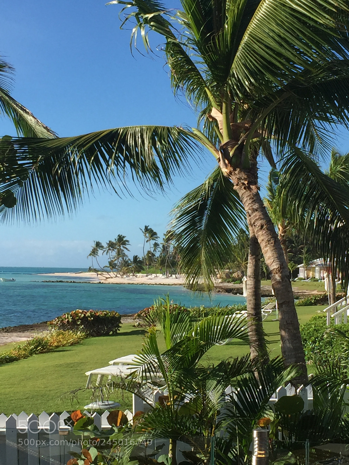 Apple iPhone 6 sample photo. Club med punta cana photography