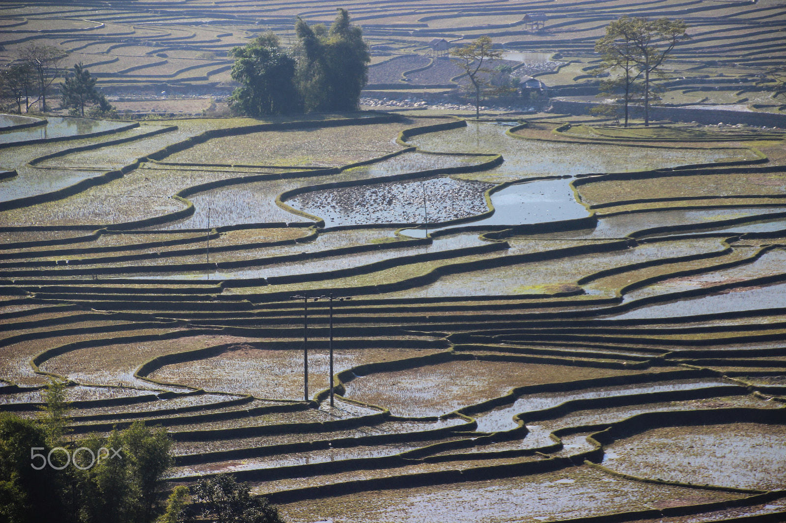 Canon EOS 600D (Rebel EOS T3i / EOS Kiss X5) sample photo. Rice terraces photography
