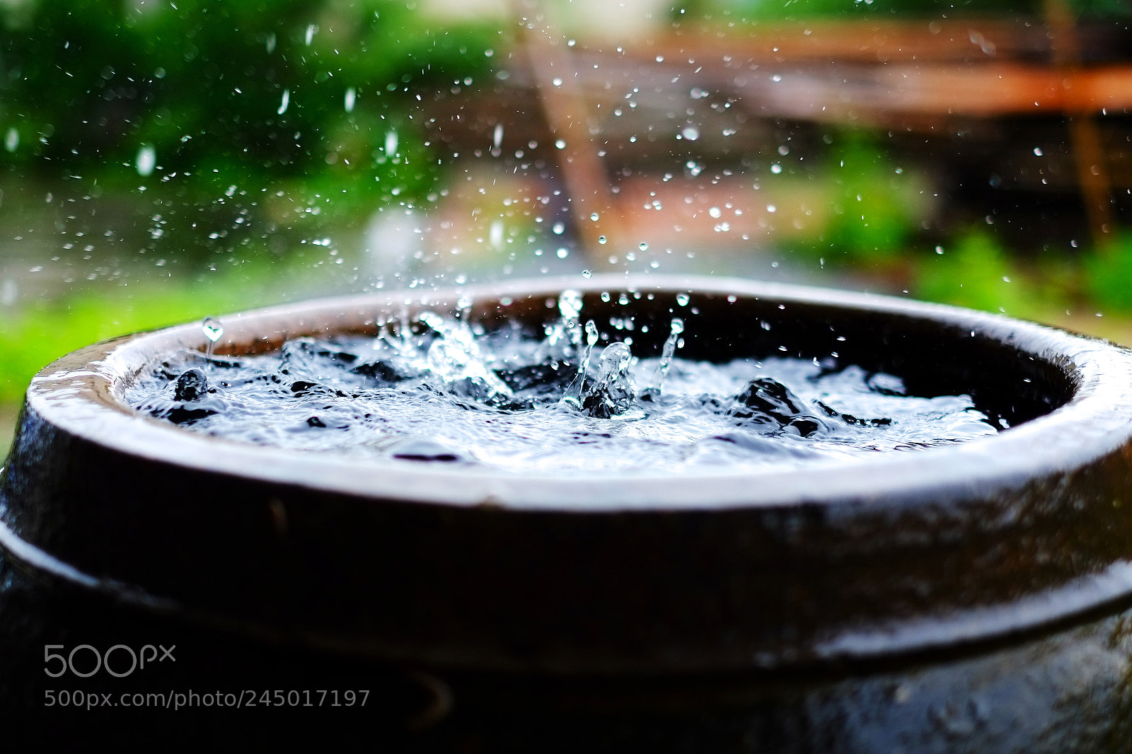 Fujifilm X-Pro1 sample photo. Untitled photography