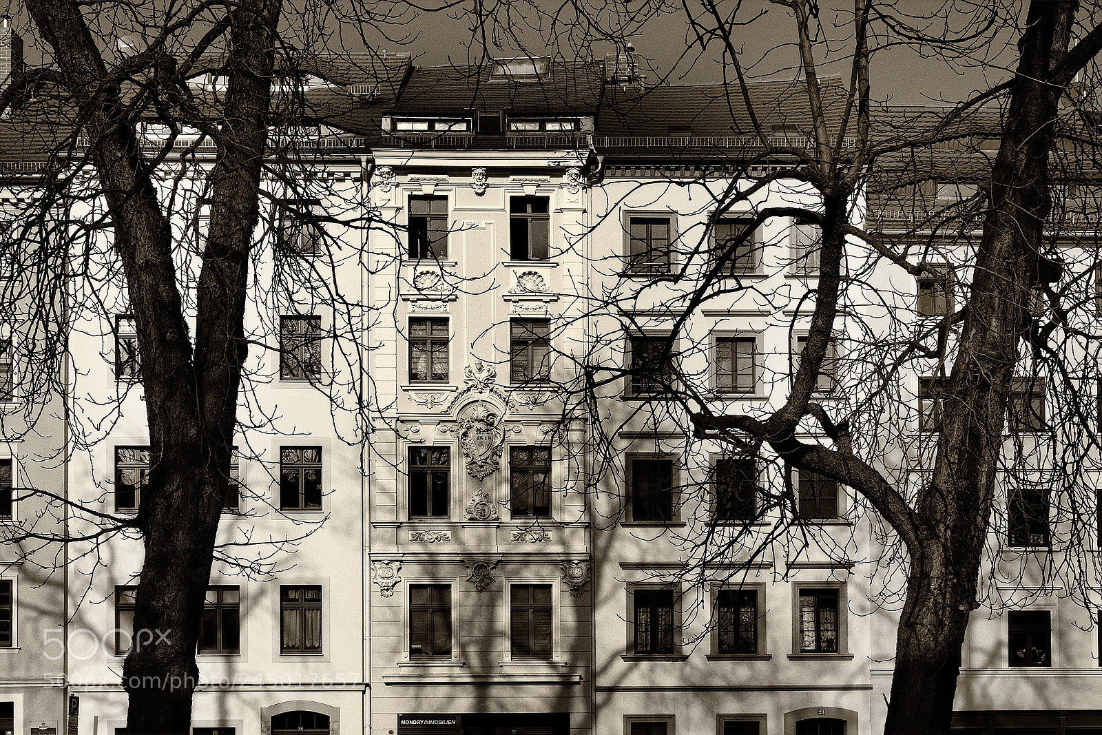 Canon EOS 5DS sample photo. Wintry trees photography