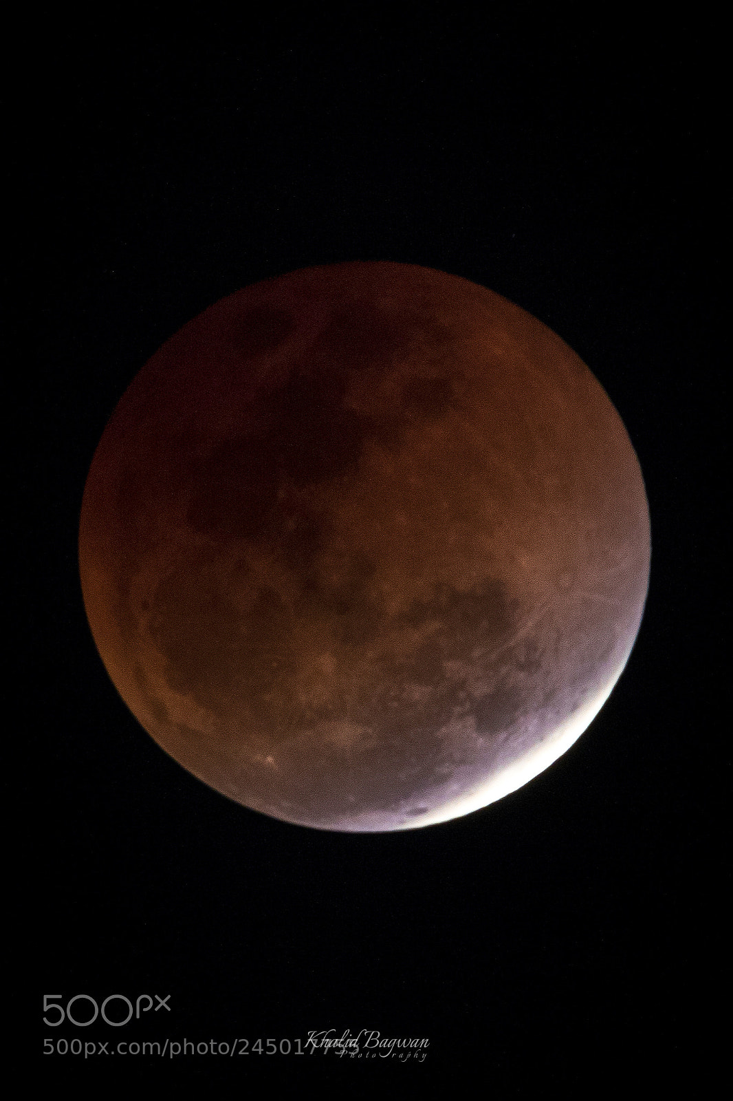 Canon EOS 7D Mark II sample photo. Bloodmoon photography