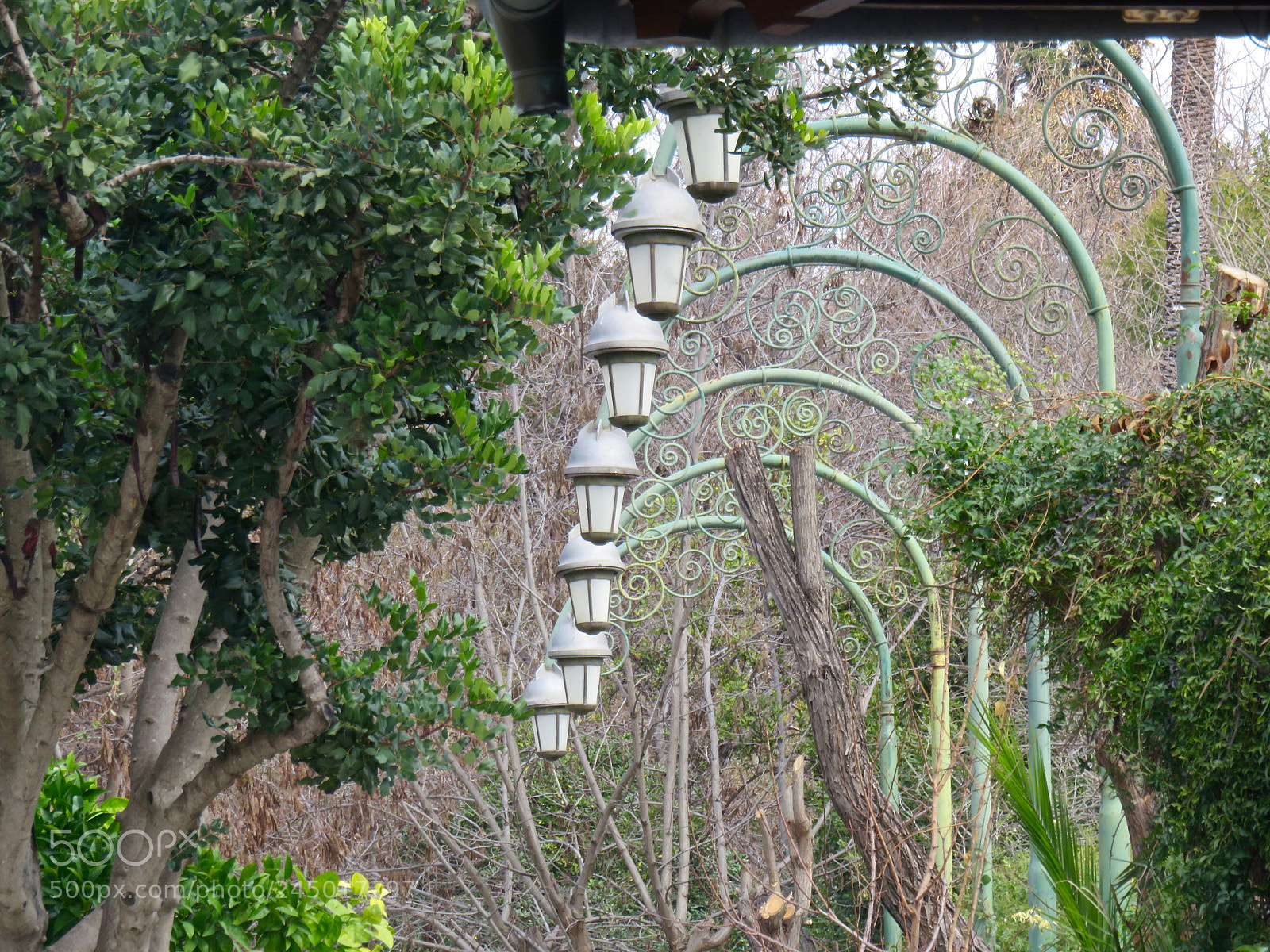 Canon PowerShot SX710 HS sample photo. Little gardens photography