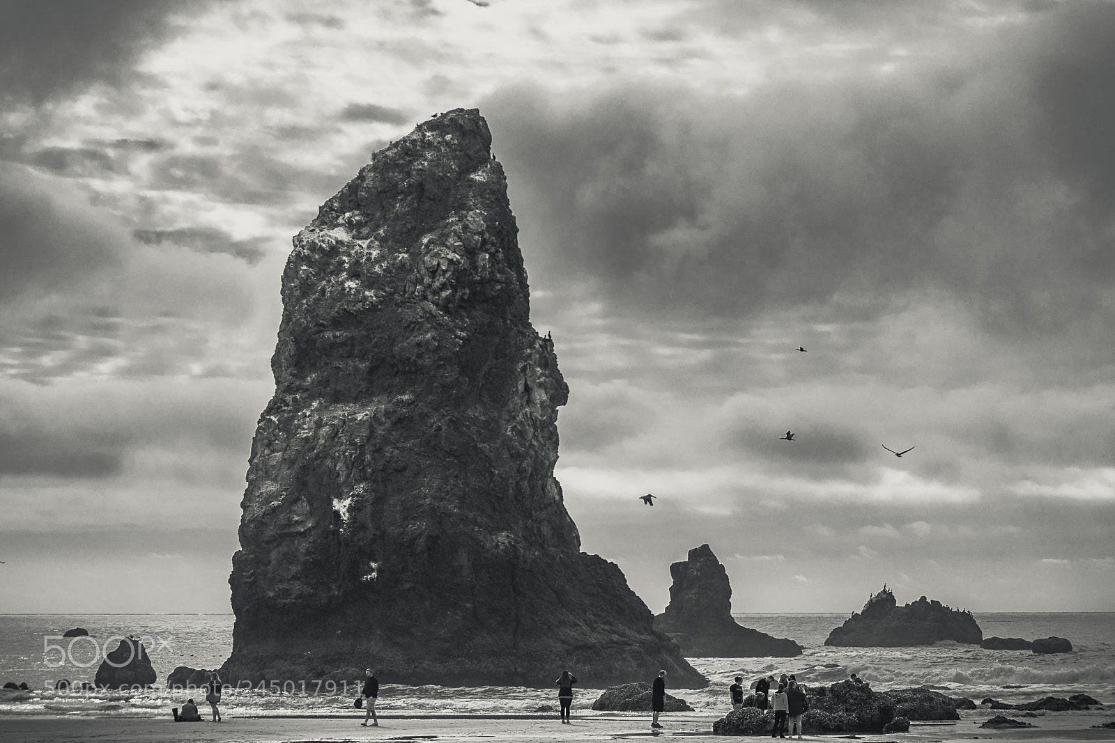 Nikon D7200 sample photo. Canon beach photography