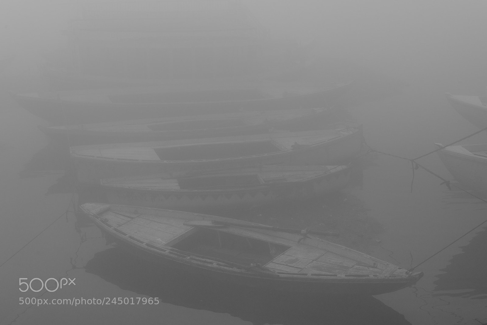Nikon D850 sample photo. Morning fog on the photography
