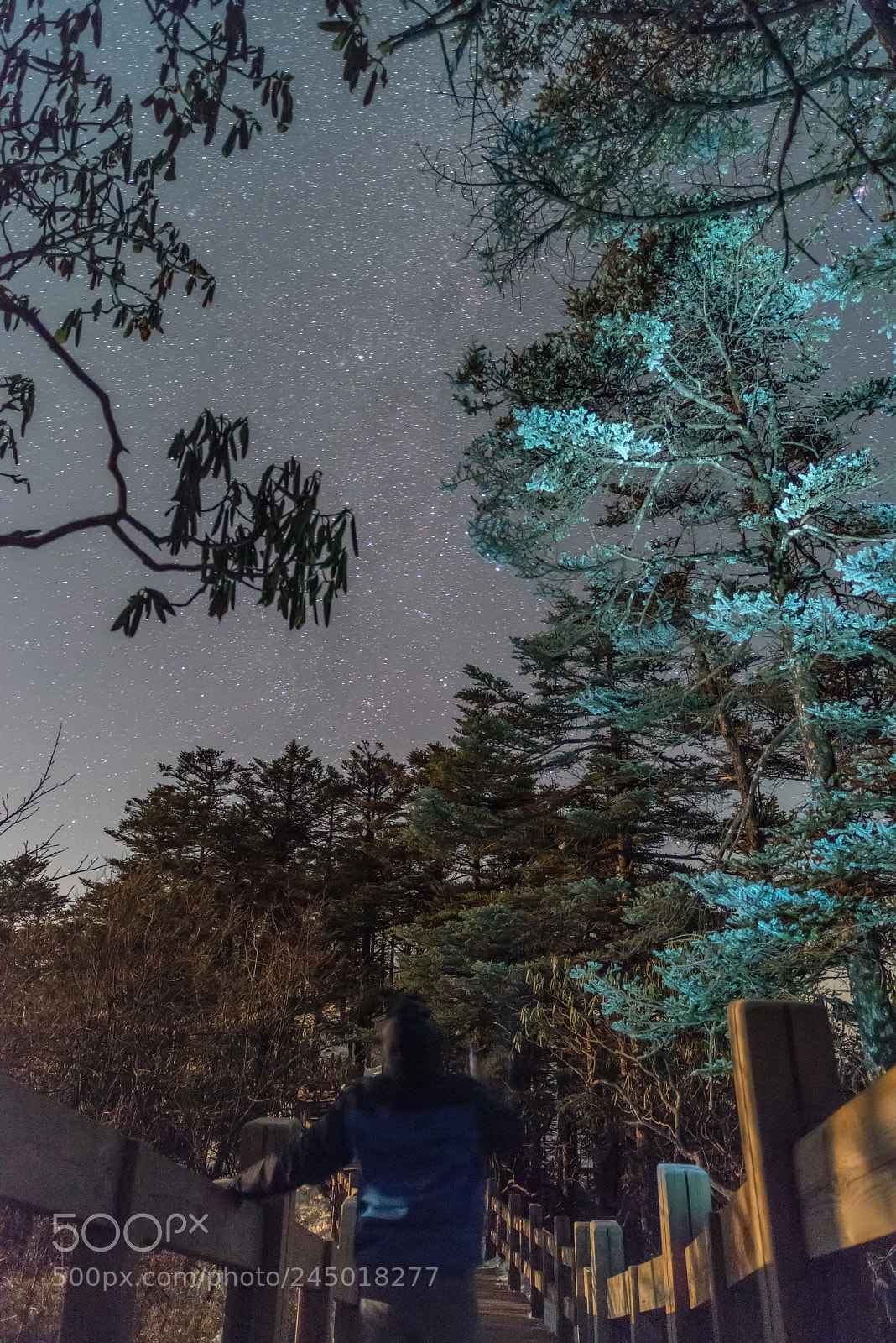 Sony a7R sample photo. Winter sky in xi-ling photography
