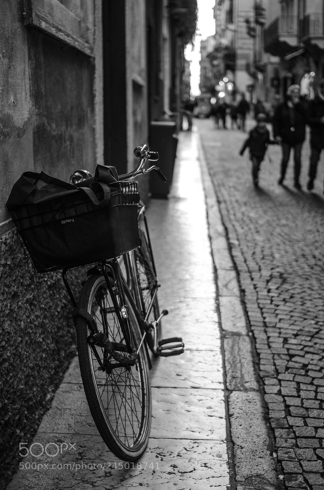 Nikon D5100 sample photo. Untitled photography
