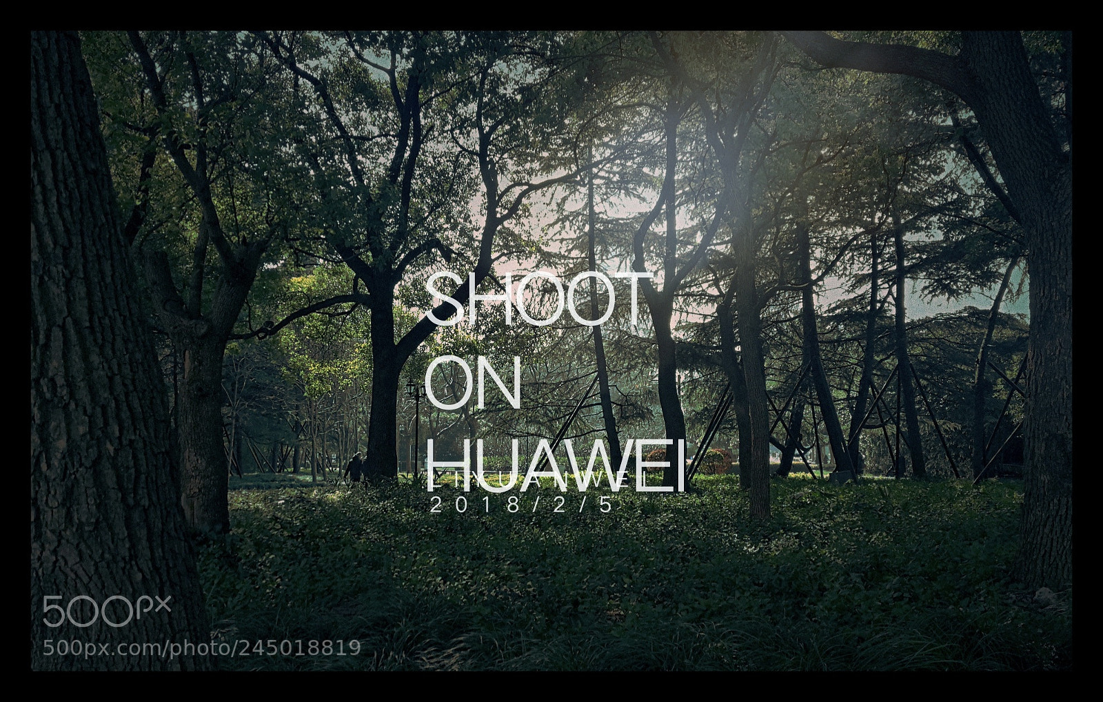 HUAWEI P10 sample photo. Untitled photography