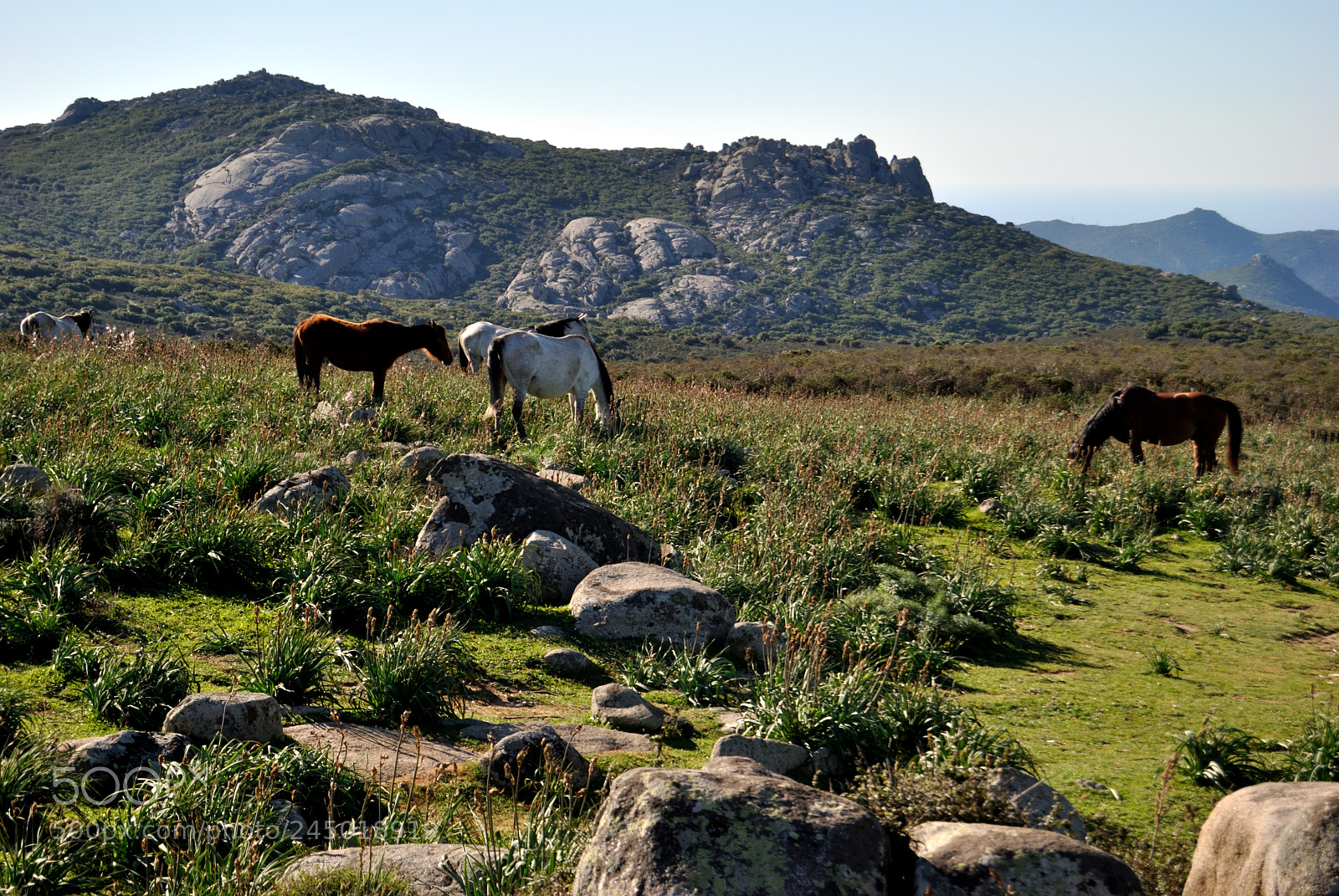 Nikon D3000 sample photo. Altopiano di codoleddu, maracalagonis photography