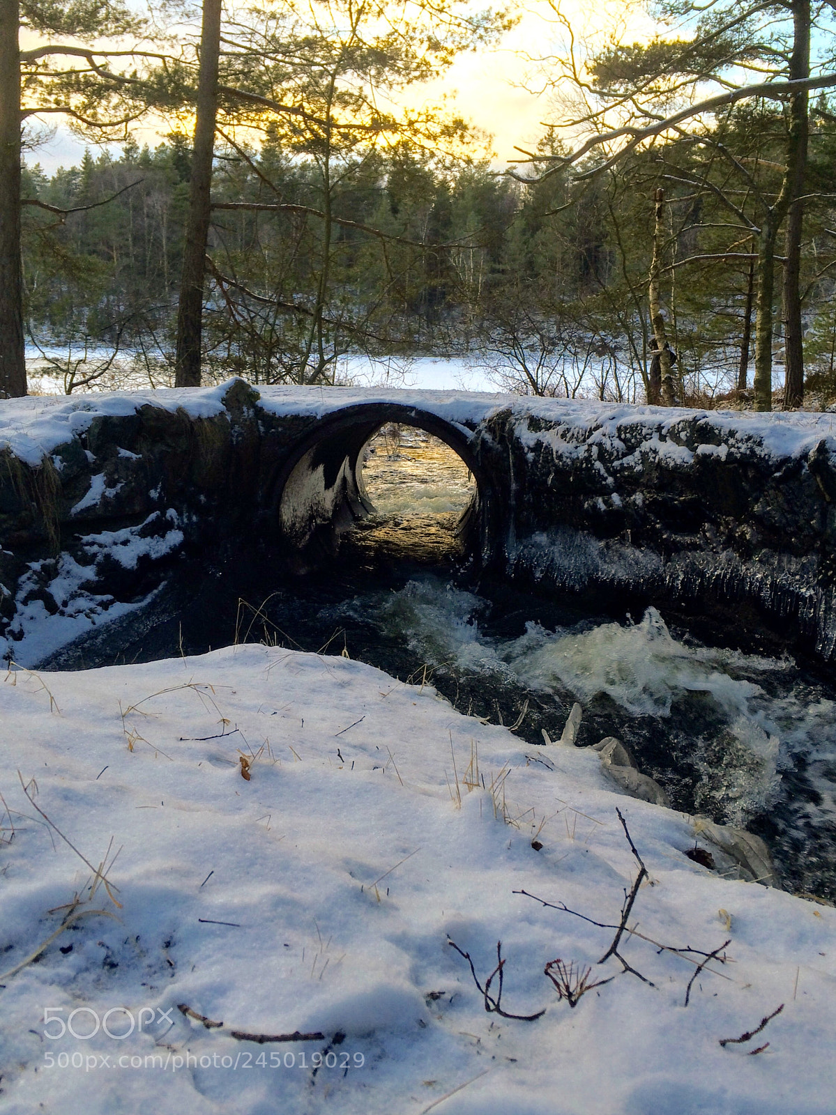 Apple iPhone 5s sample photo. Rivulet & bridge photography