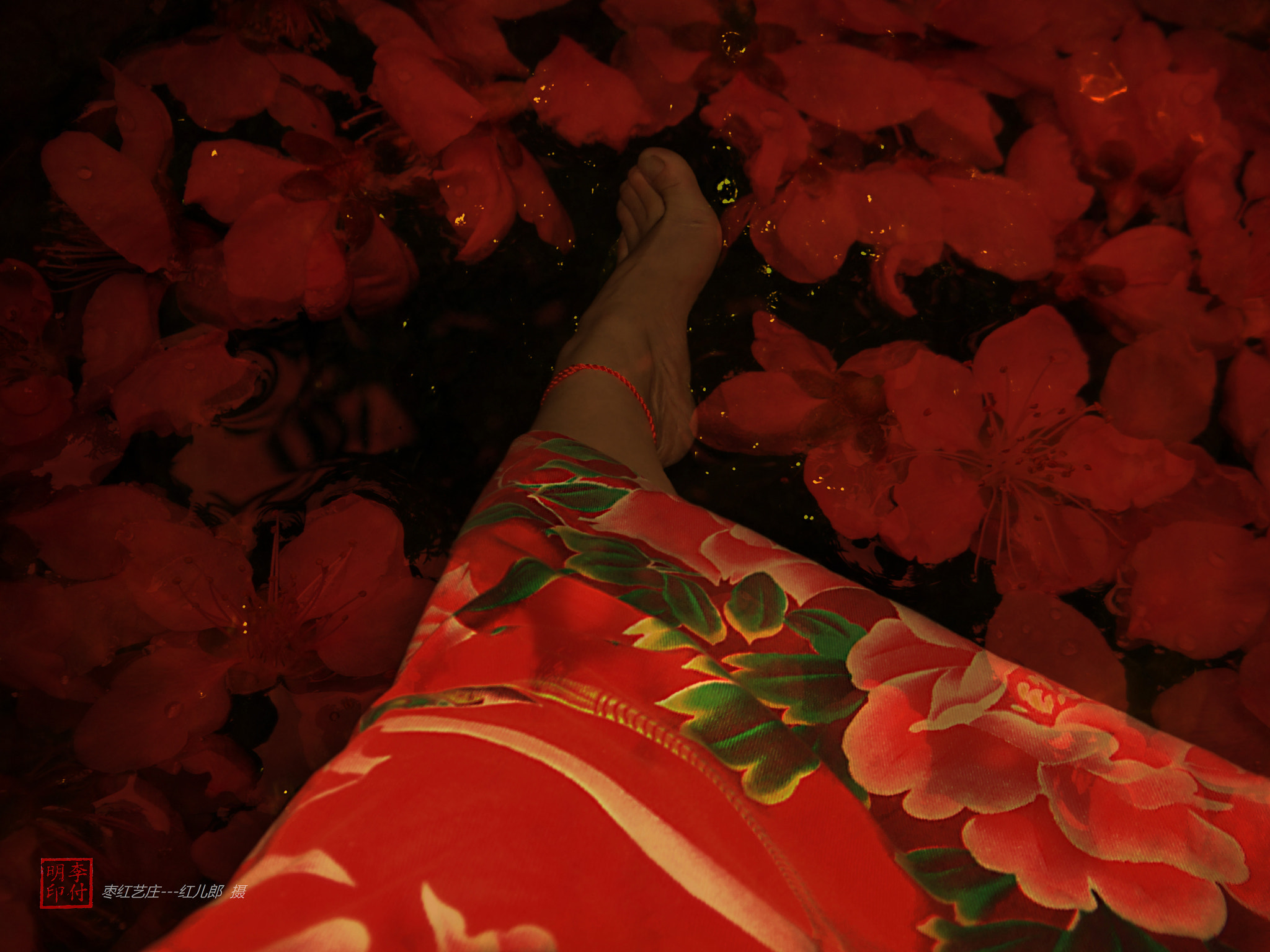 Sony DSC-HX200 sample photo. 【桃花溪】红儿郎 摄 photography