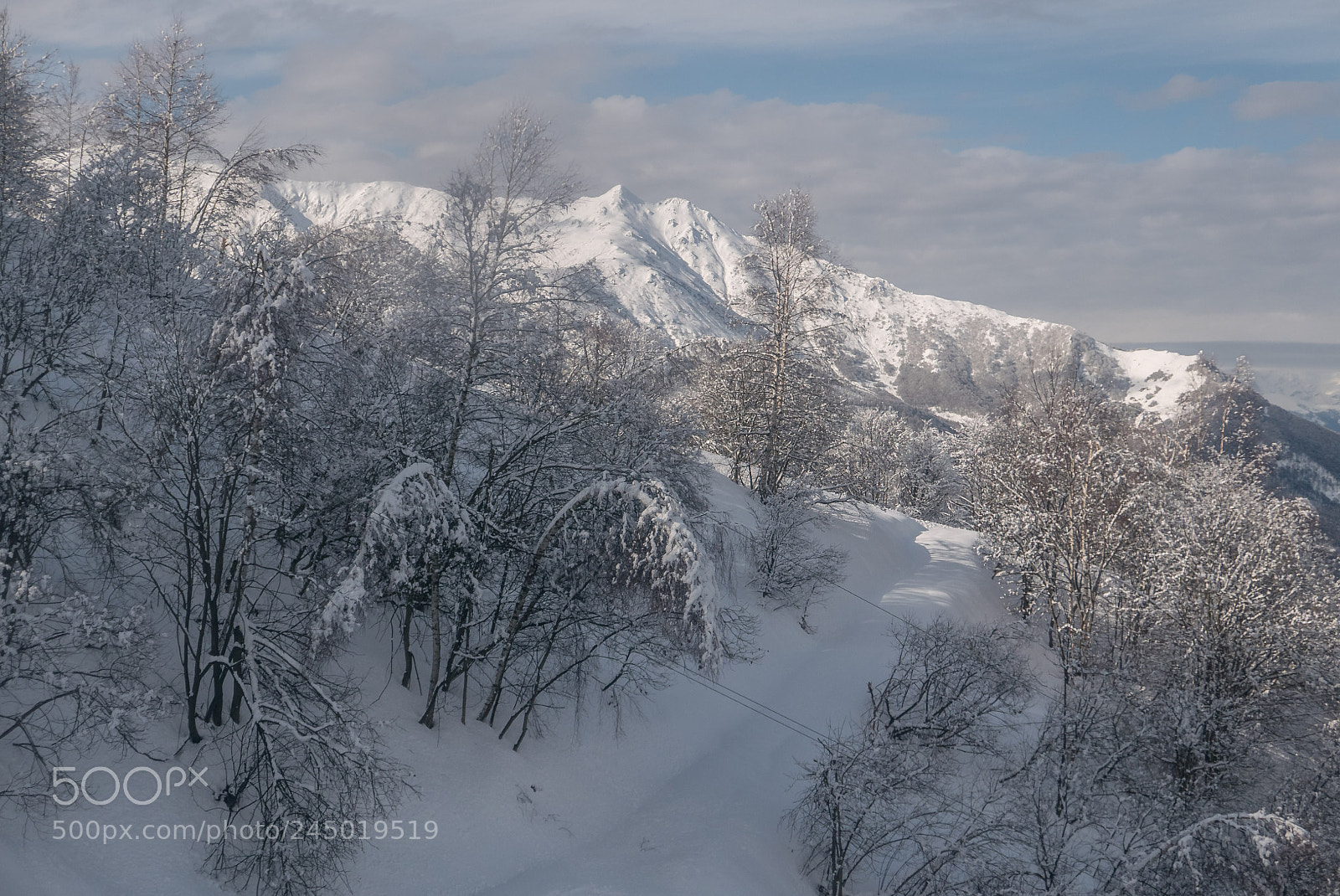 Panasonic Lumix DMC-LX100 sample photo. Snow time photography