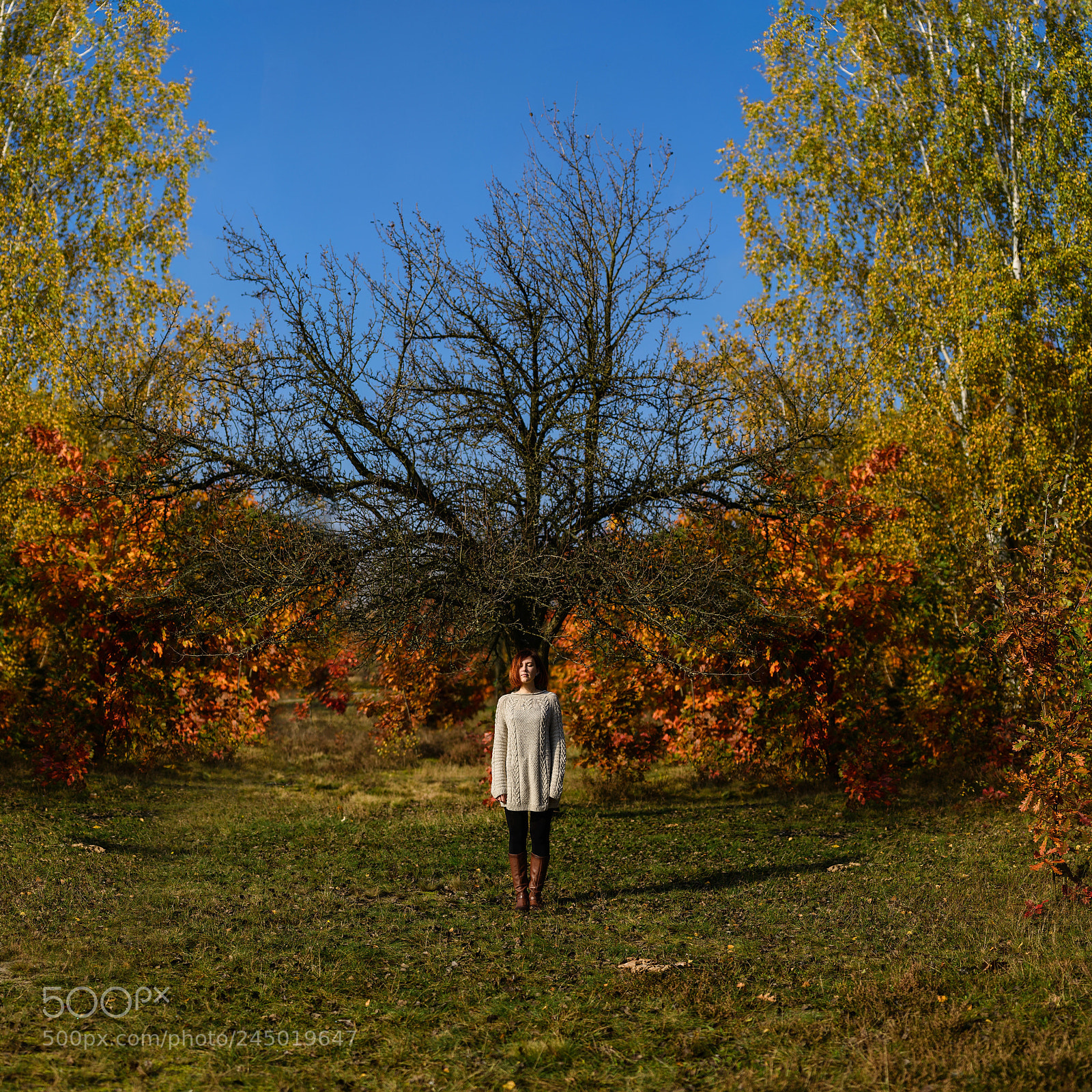 Nikon D600 sample photo. Ann and a tree photography