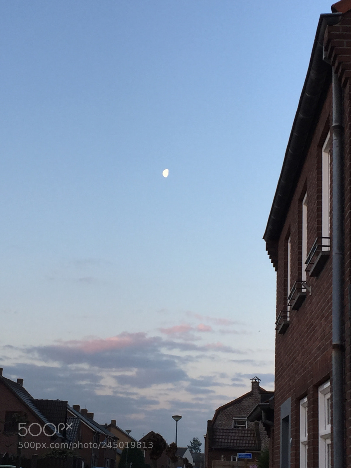 Apple iPhone 6 sample photo. Goodmorning ? photography