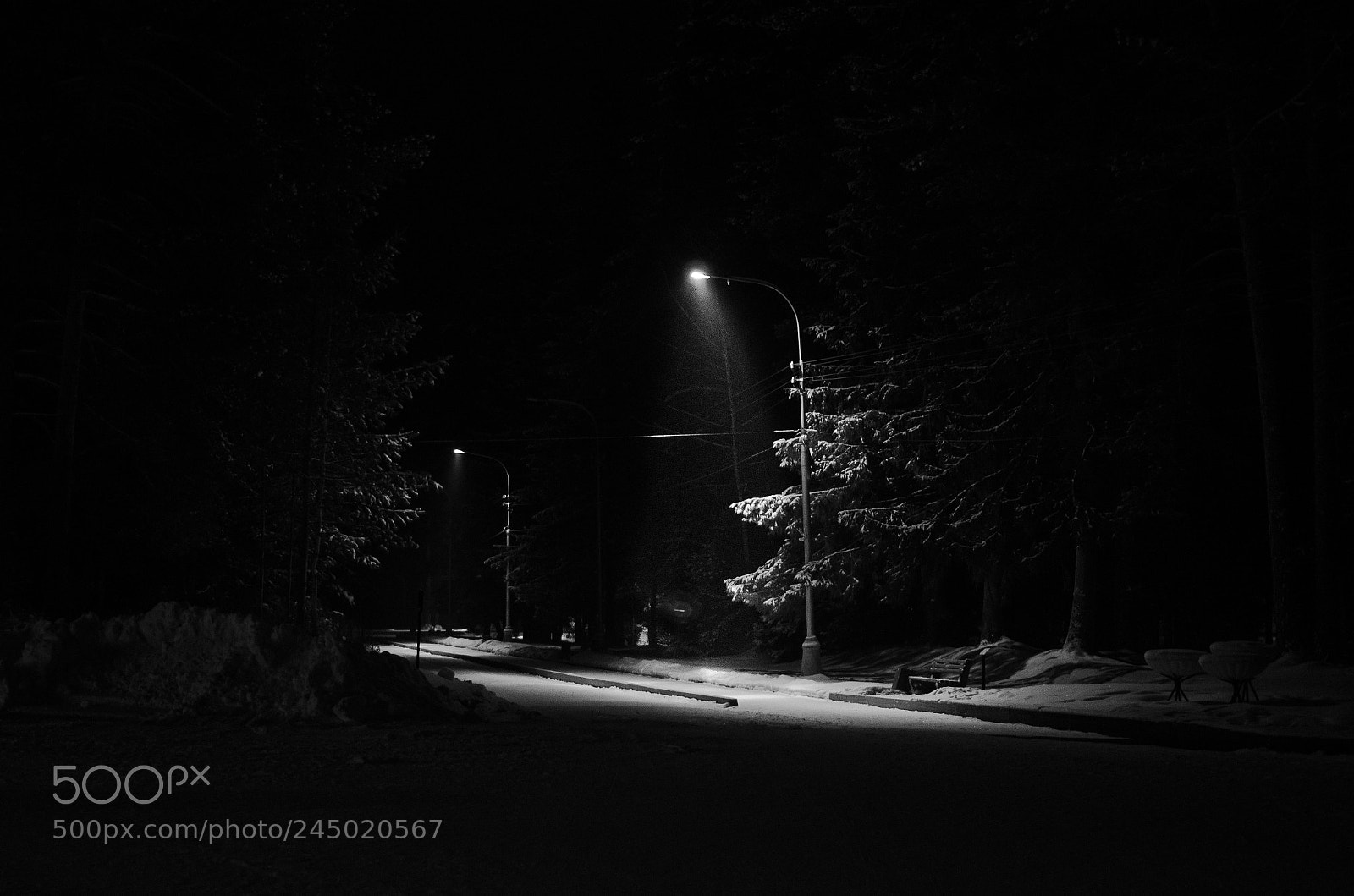 Nikon D5100 sample photo. Snowy winter night photography