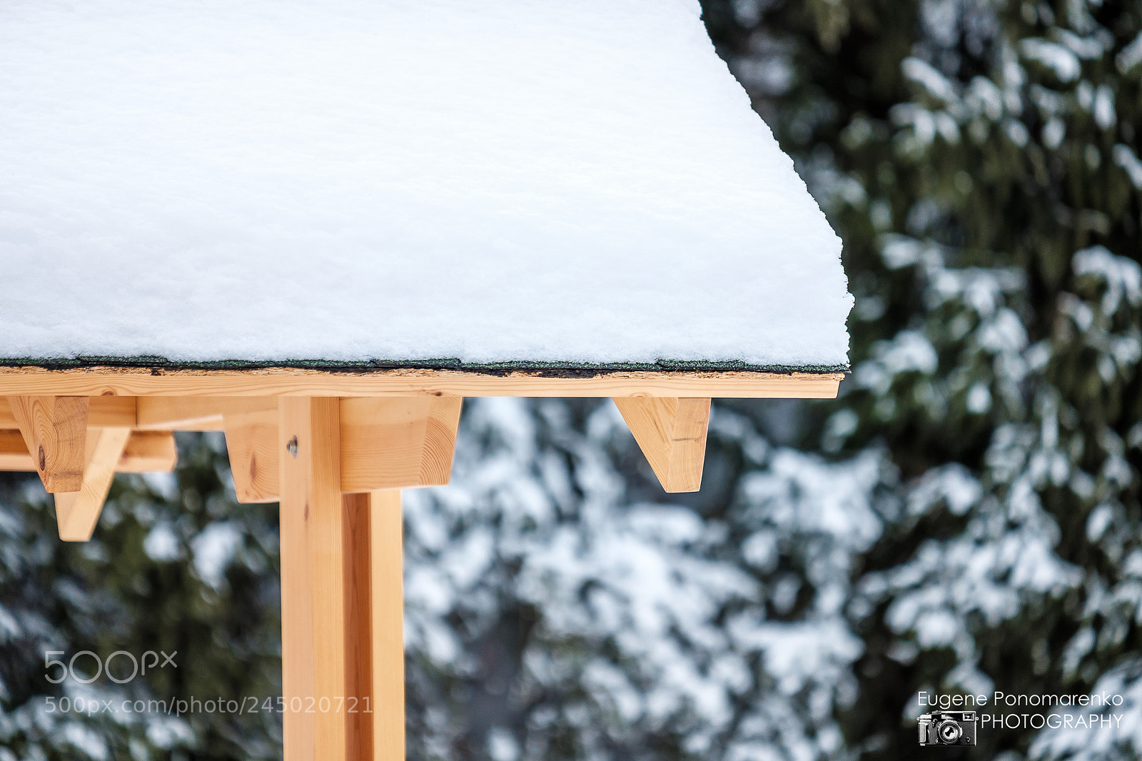 Fujifilm X-T2 sample photo. 2018.01 kimasar photography