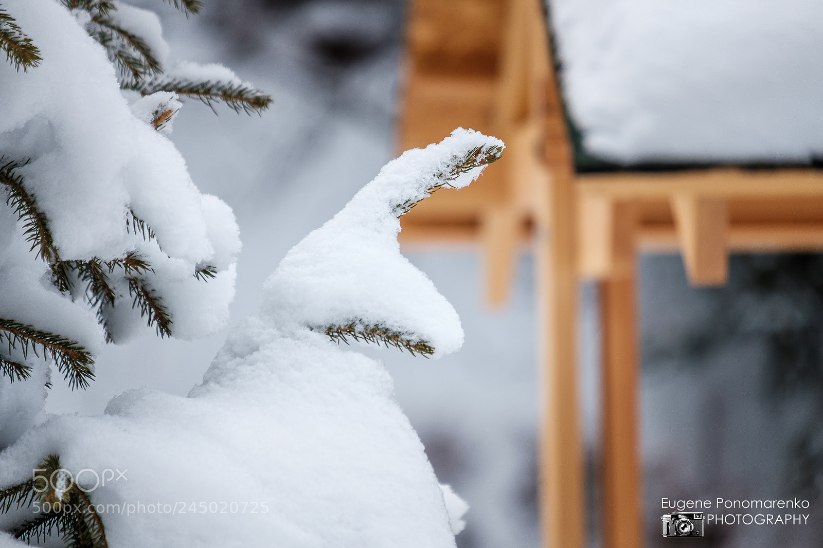 Fujifilm X-T2 sample photo. 2018.01 kimasar photography