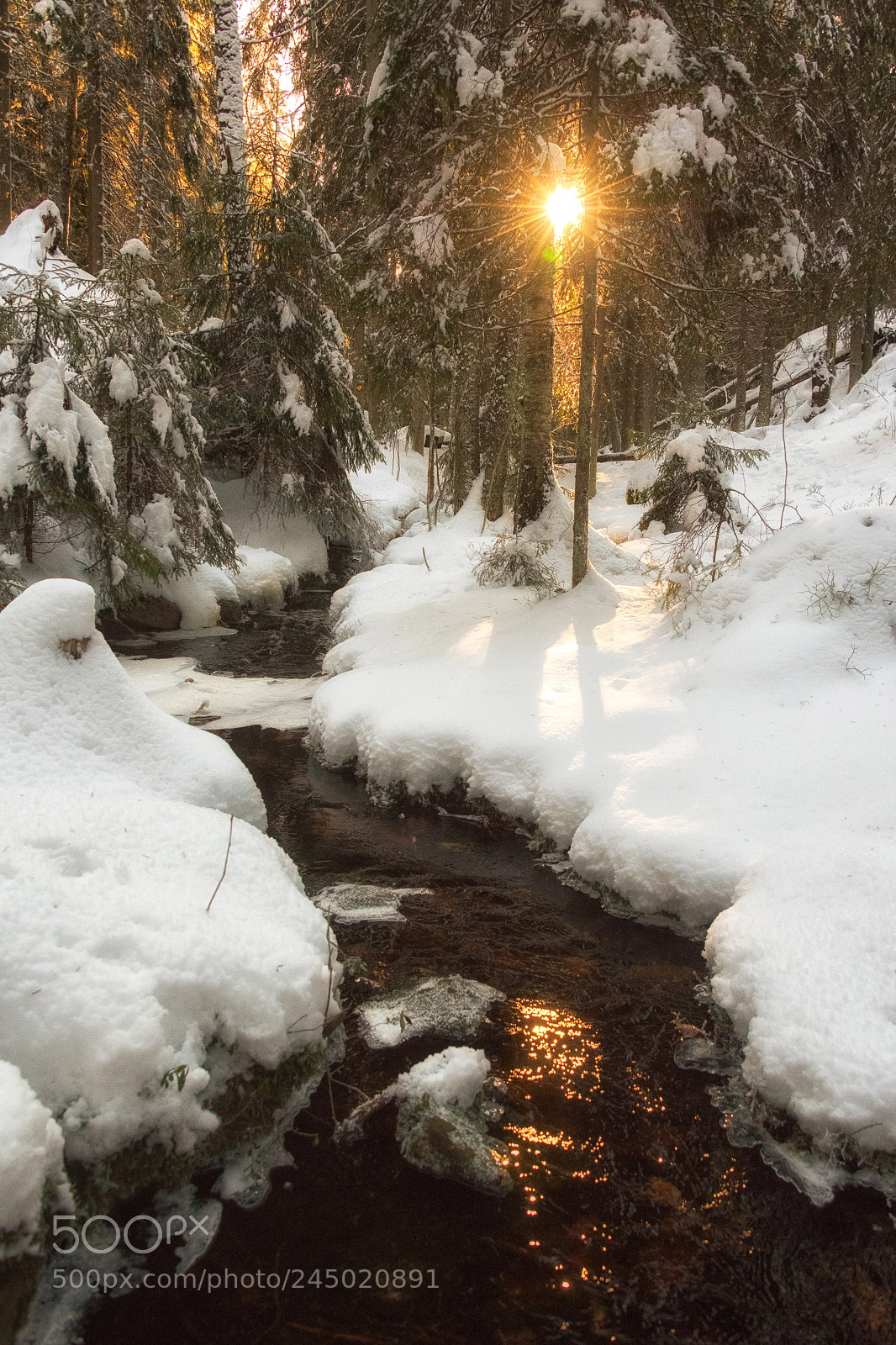 Nikon D850 sample photo. Stream in nuuksio national photography