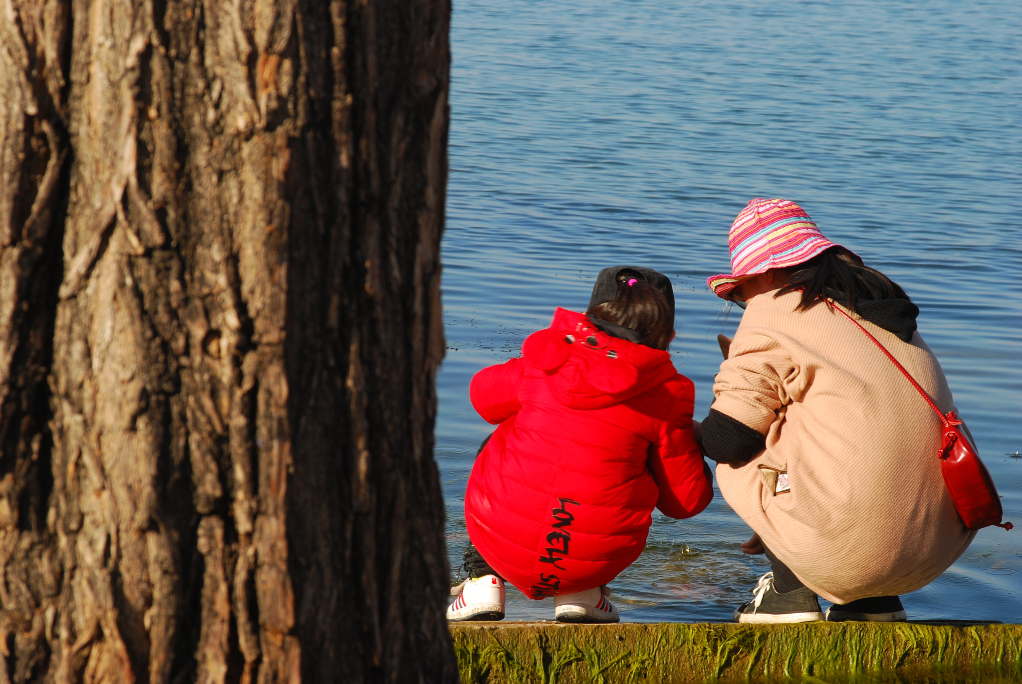 AF Zoom-Nikkor 28-105mm f/3.5-4.5D IF sample photo. 洱海 photography