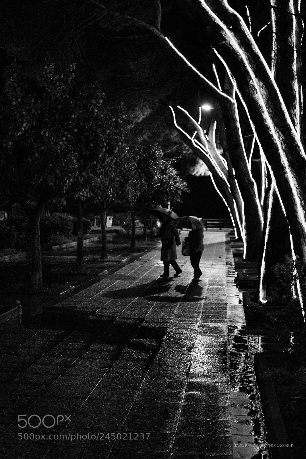 Nikon D7200 sample photo. Lights on the trees photography