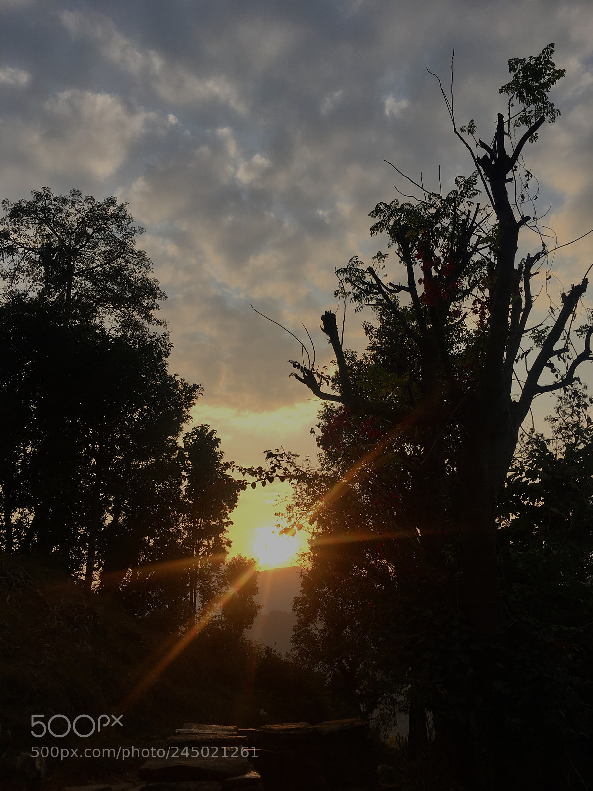 Apple iPhone 6s Plus sample photo. Untitled photography