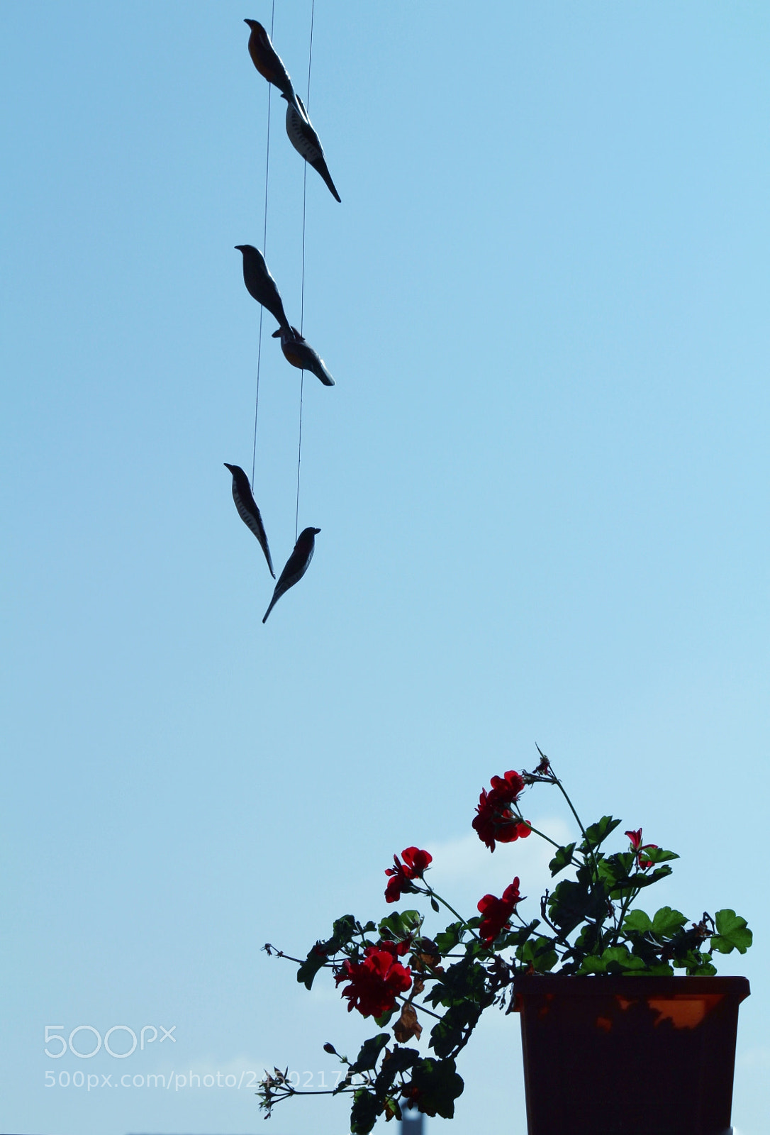 Canon EOS 1300D (EOS Rebel T6 / EOS Kiss X80) sample photo. A new day photography