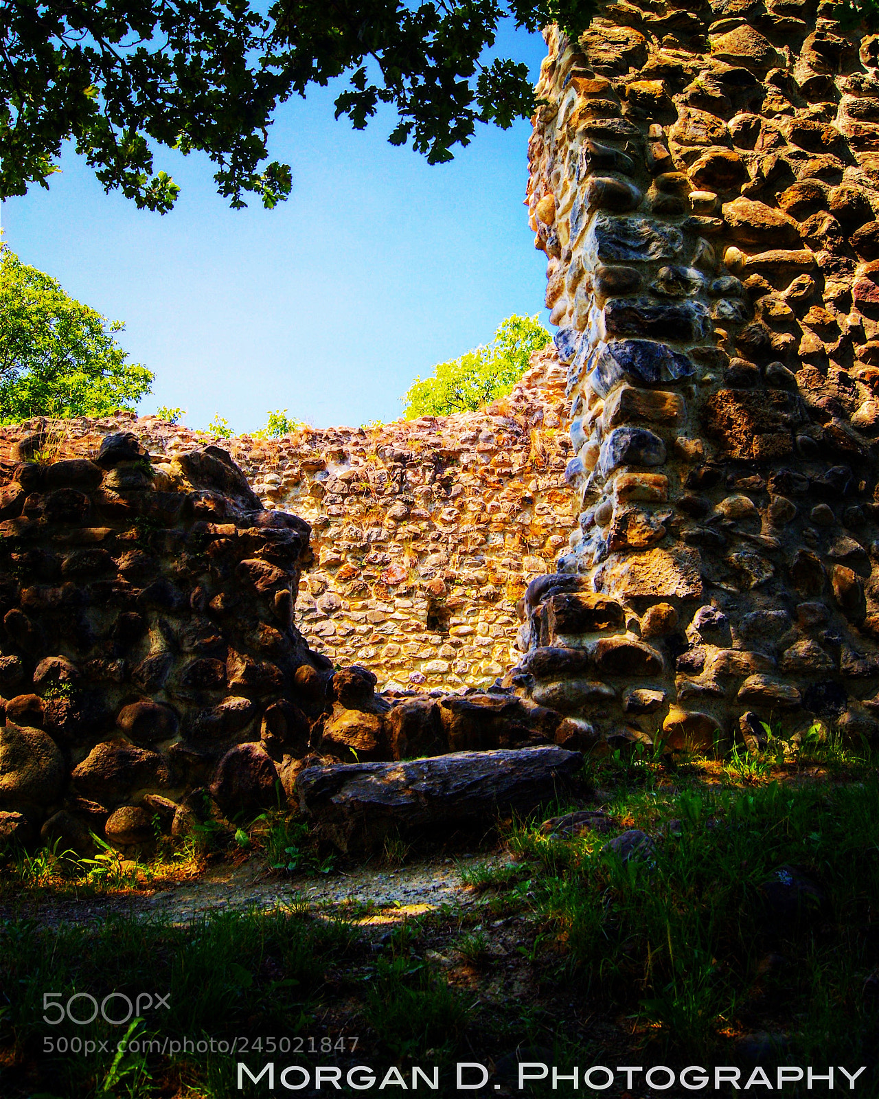 Sony Alpha DSLR-A380 sample photo. Ruine hüttwilen-helfenberg, tg photography
