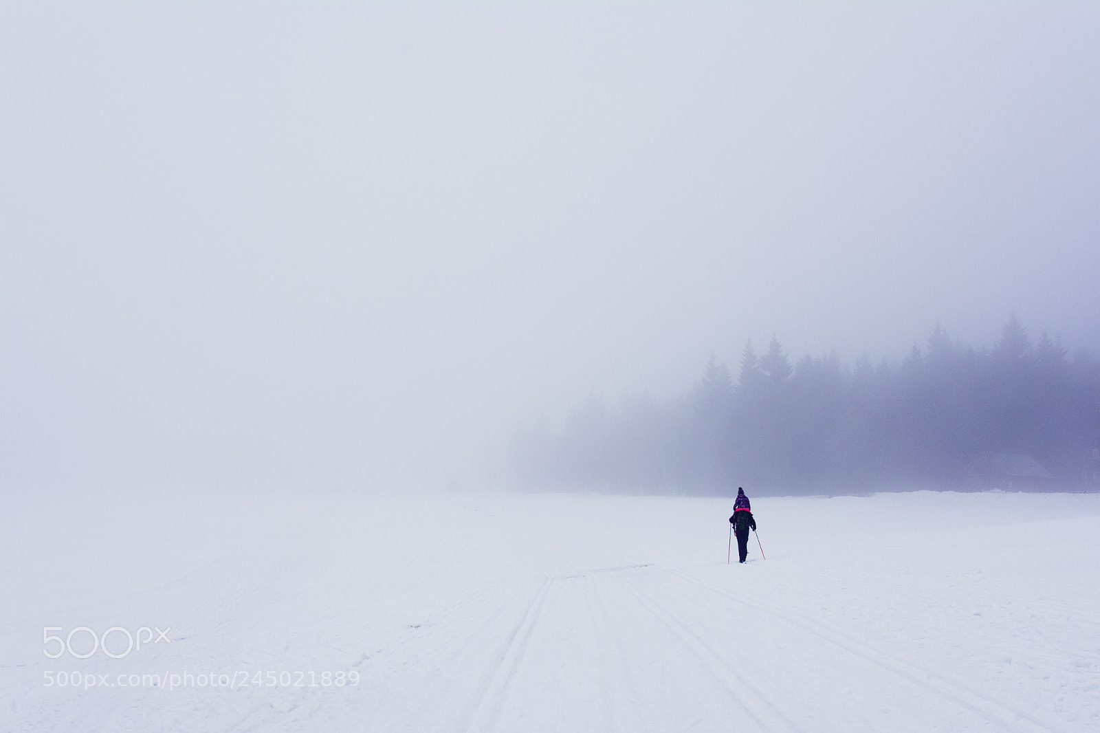 Nikon D7100 sample photo. Winter day. photography