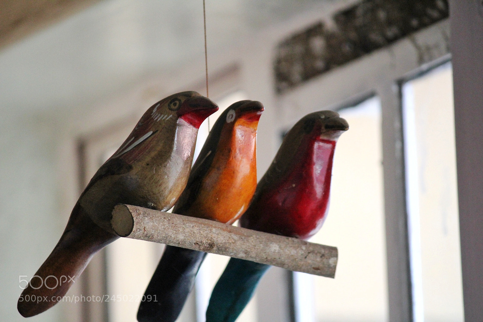 Canon EOS 1300D (EOS Rebel T6 / EOS Kiss X80) sample photo. The three birdees photography