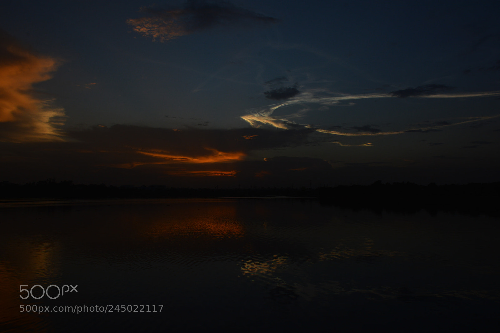 Nikon D7100 sample photo. Untitled photography