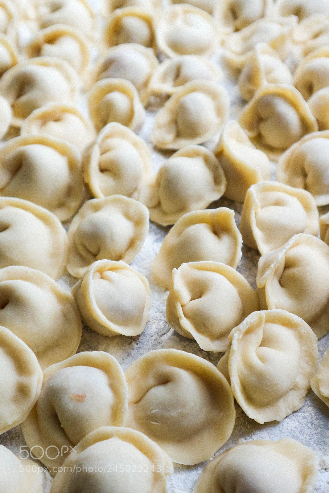 Canon EOS M10 sample photo. Dumplings photography