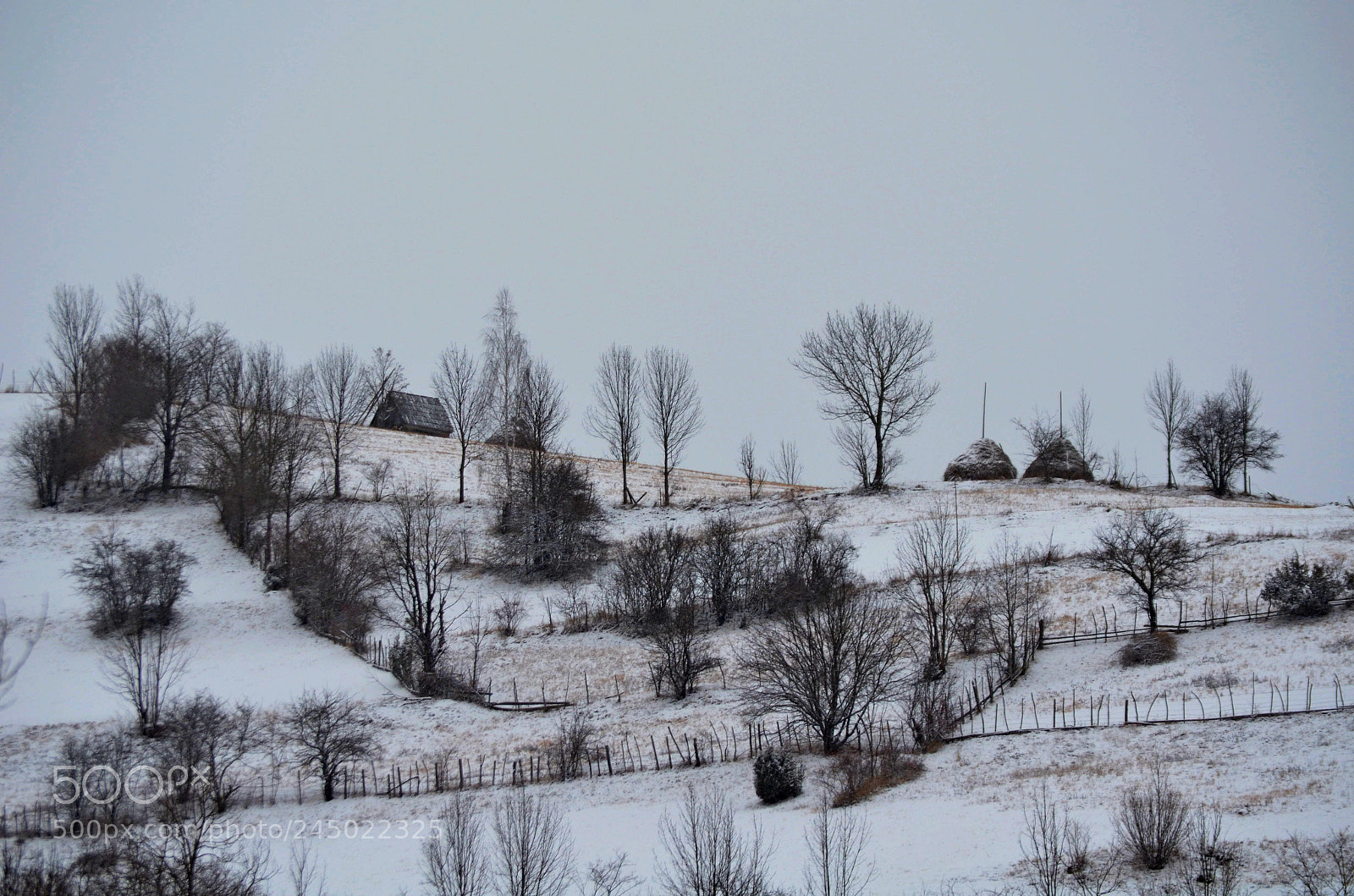 Nikon D5100 sample photo. --- photography