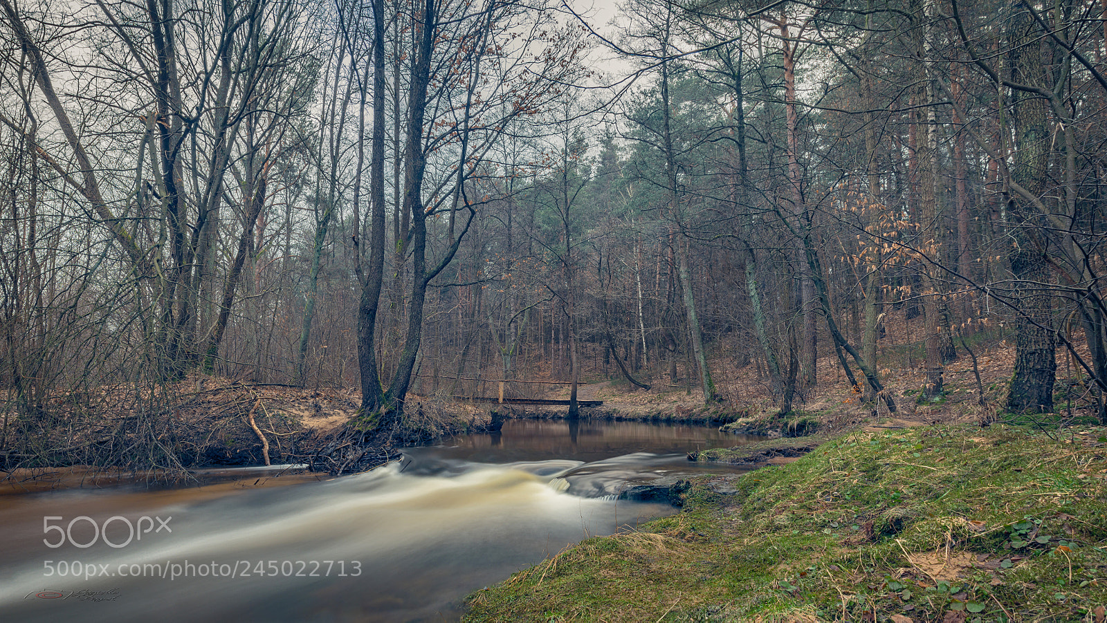 Nikon D7200 sample photo. Somewhere on the river photography