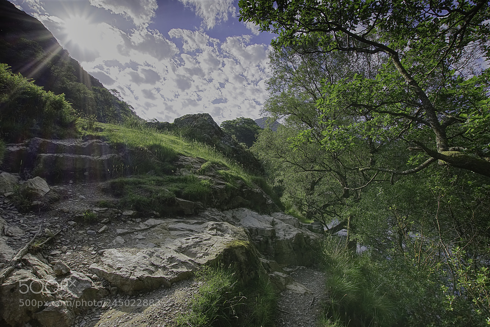 Nikon D7200 sample photo. Path around lake. photography