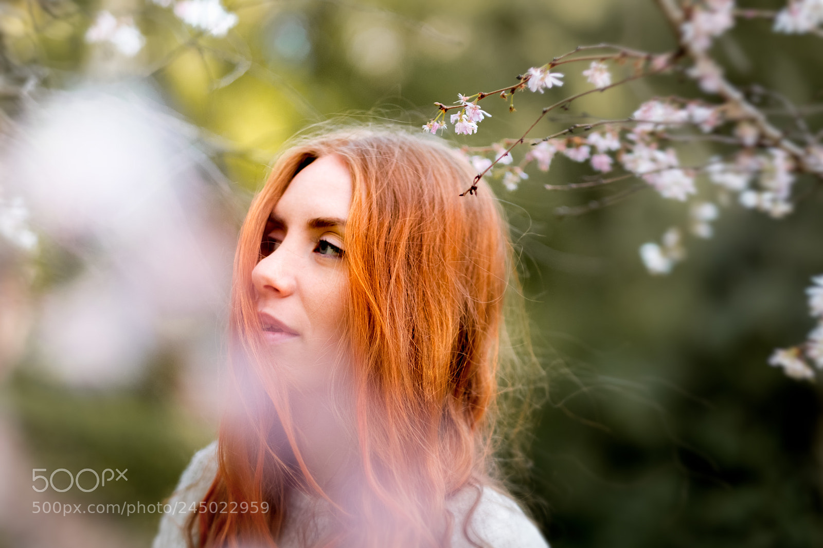 Fujifilm X-T2 sample photo. Sweetness photography
