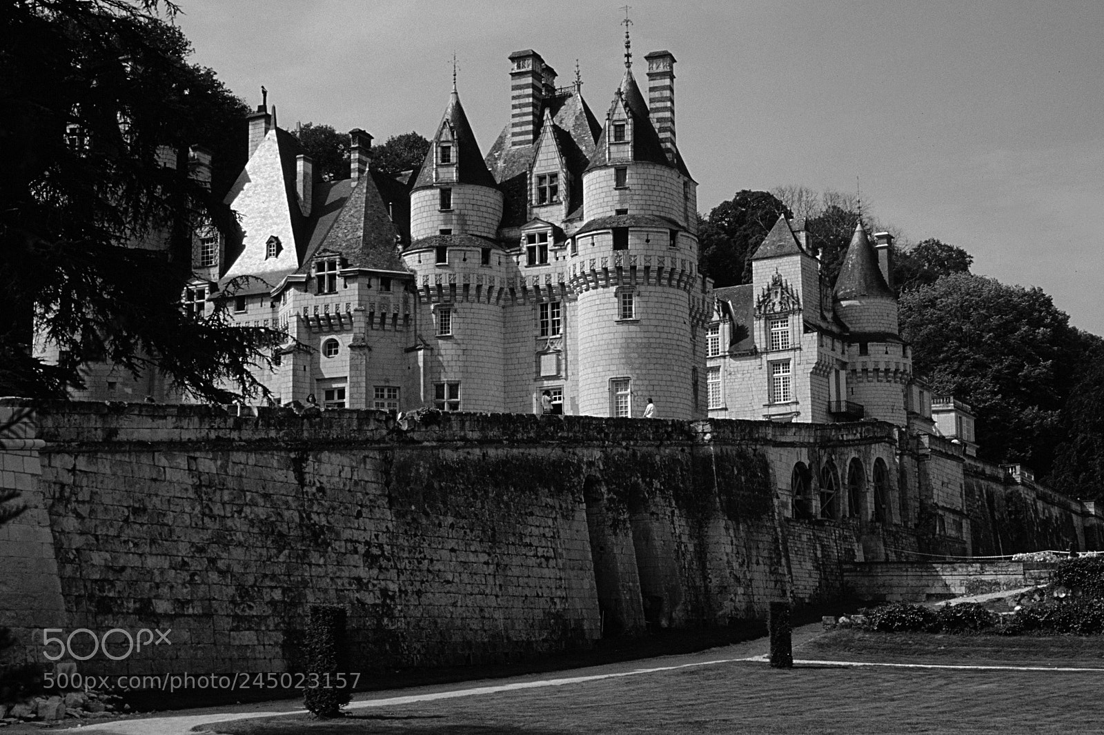 Canon EOS 550D (EOS Rebel T2i / EOS Kiss X4) sample photo. Château d’ussé photography