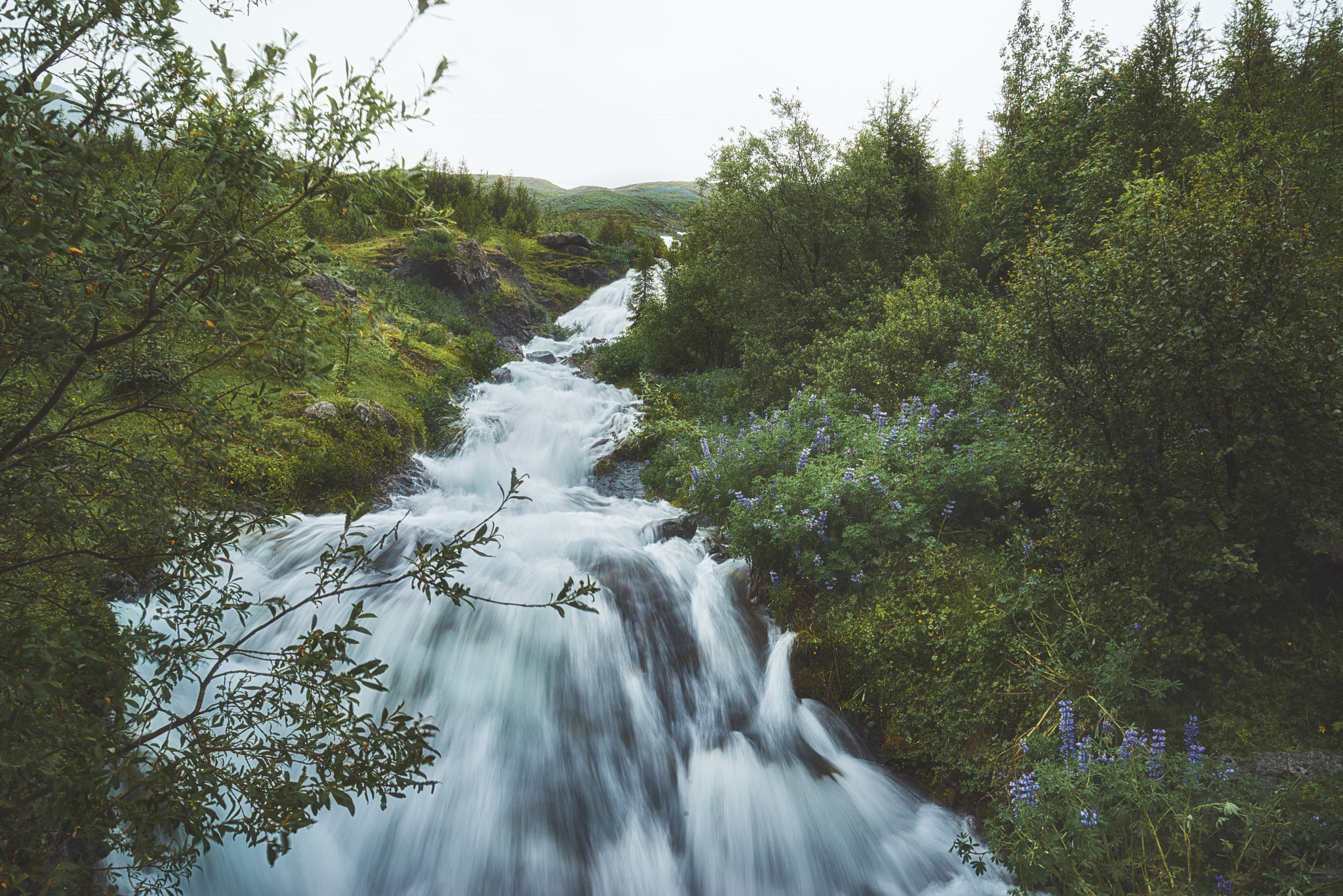 Sony a7R sample photo. Iceland, eskifjordur iv photography