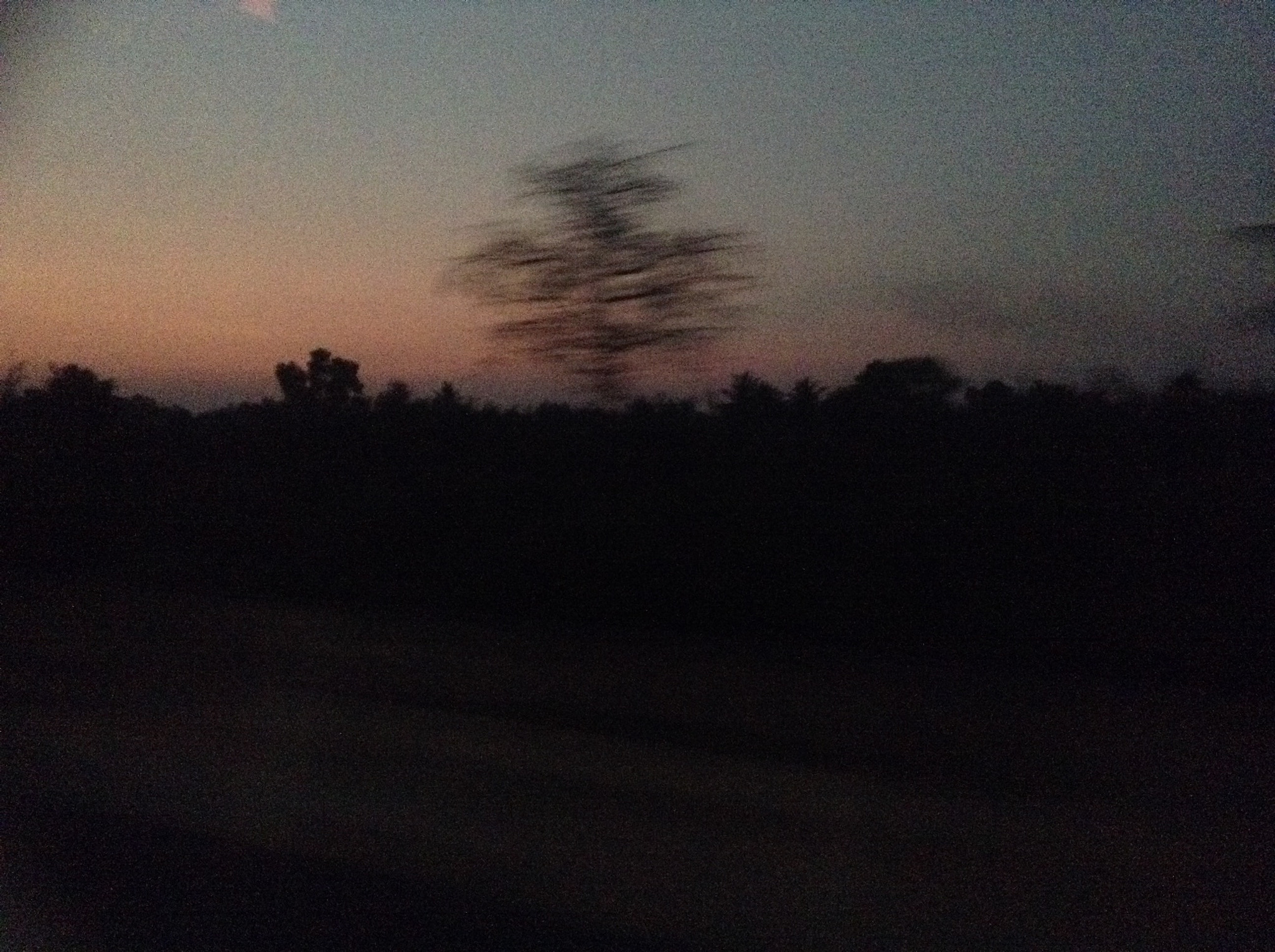 Apple iPad mini sample photo. .... photography