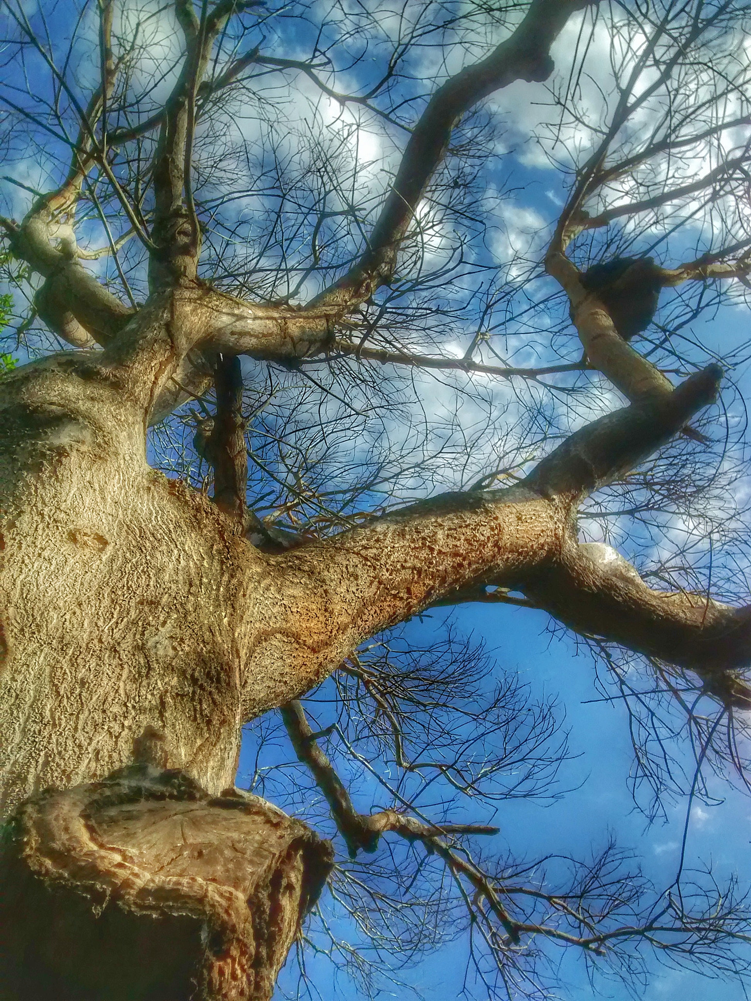Motorola XT1032 sample photo. Infinity sky photography