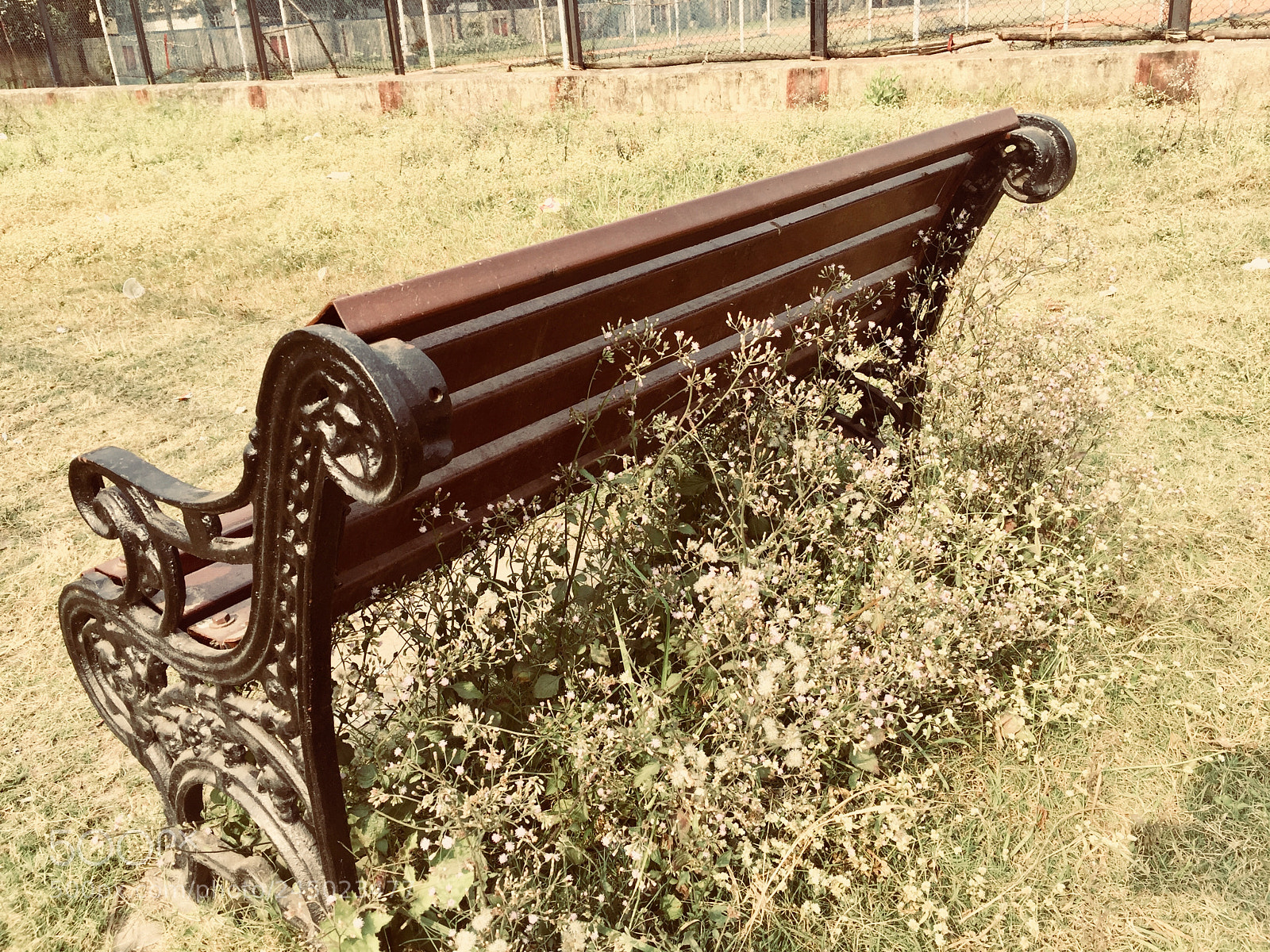 Apple iPhone 6 Plus sample photo. Untitled photography