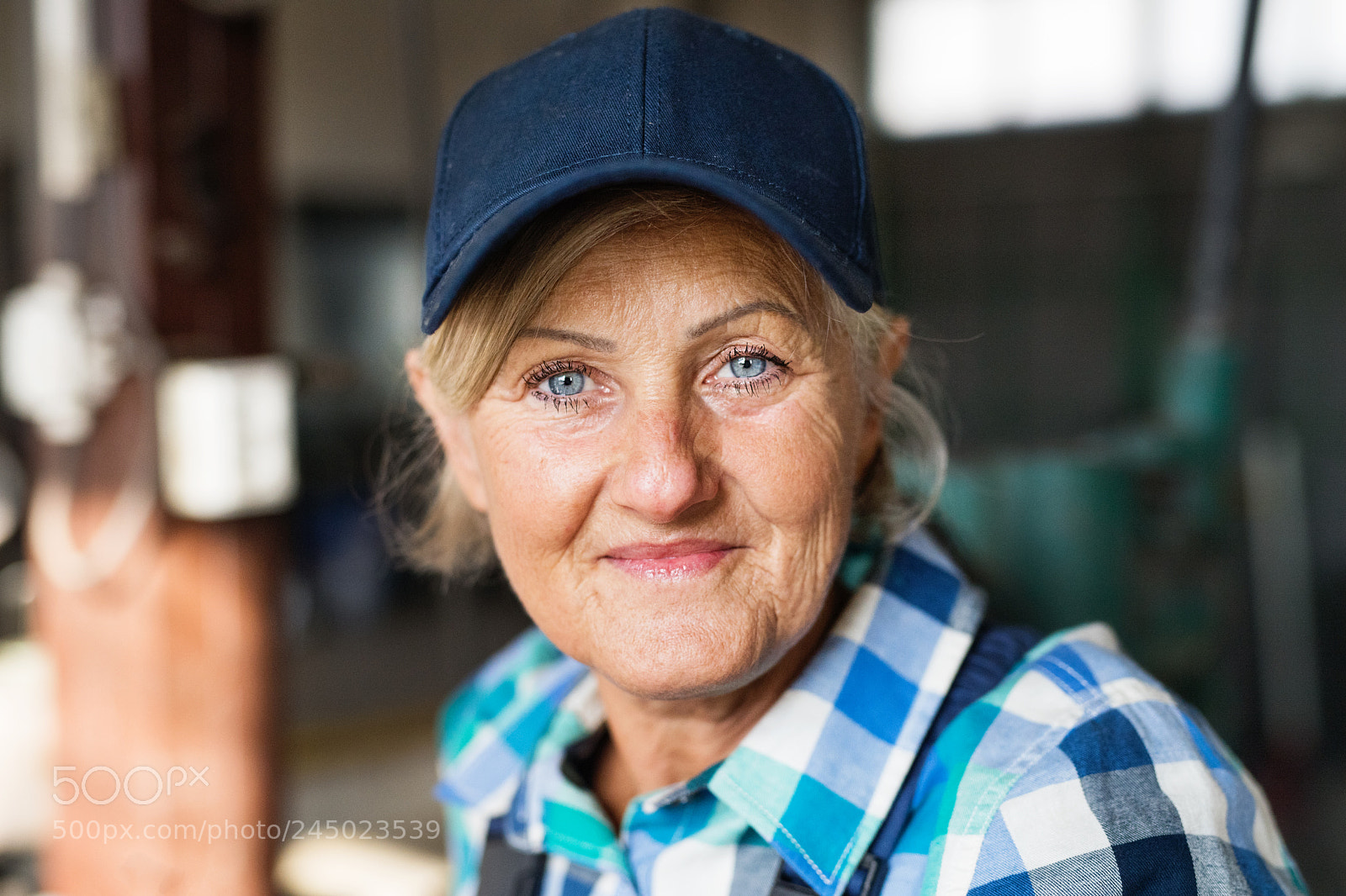 Nikon D5 sample photo. Portrait of a senior photography