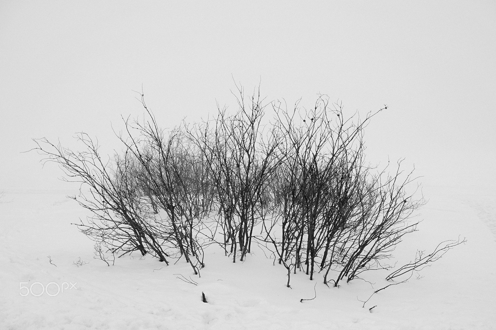 Pentax KP + HD Pentax-DA 20-40mm F2.8-4 ED Limited DC WR sample photo. Winter blues photography