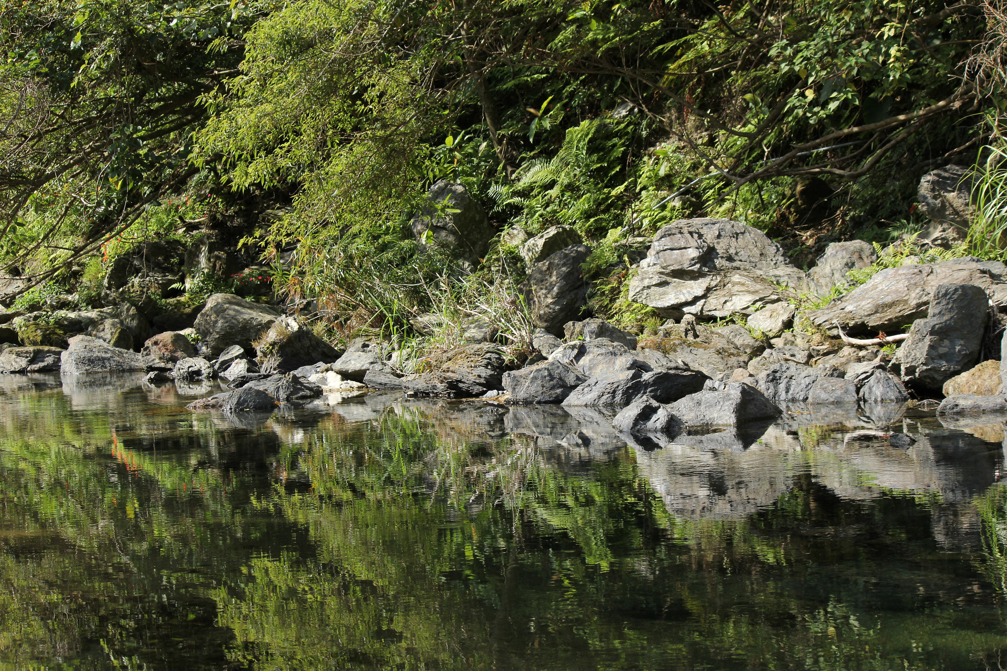 Canon EF-S 55-250mm F4-5.6 IS II sample photo. No boundary. photography