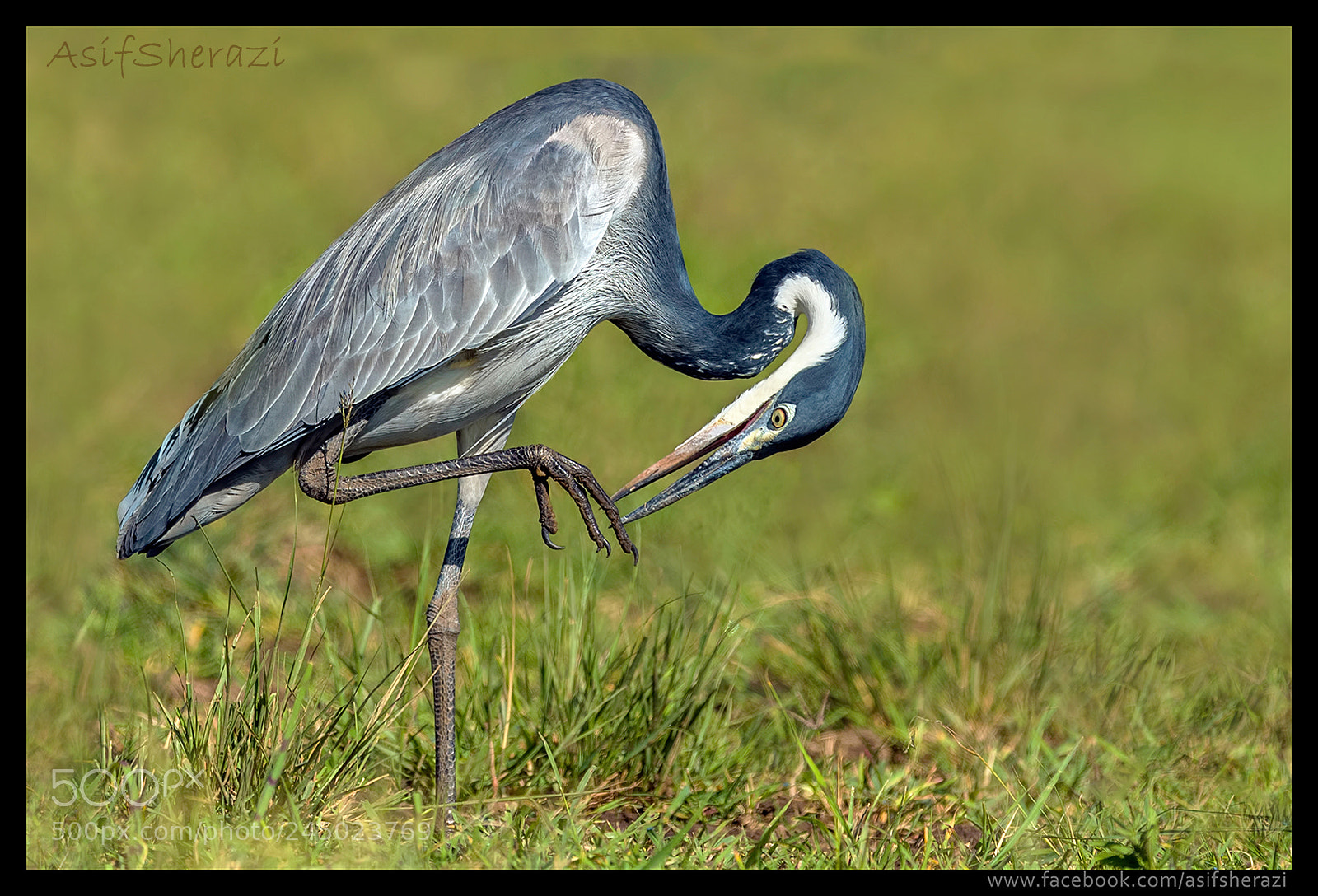 Nikon D5 sample photo. Beauty of the nature photography